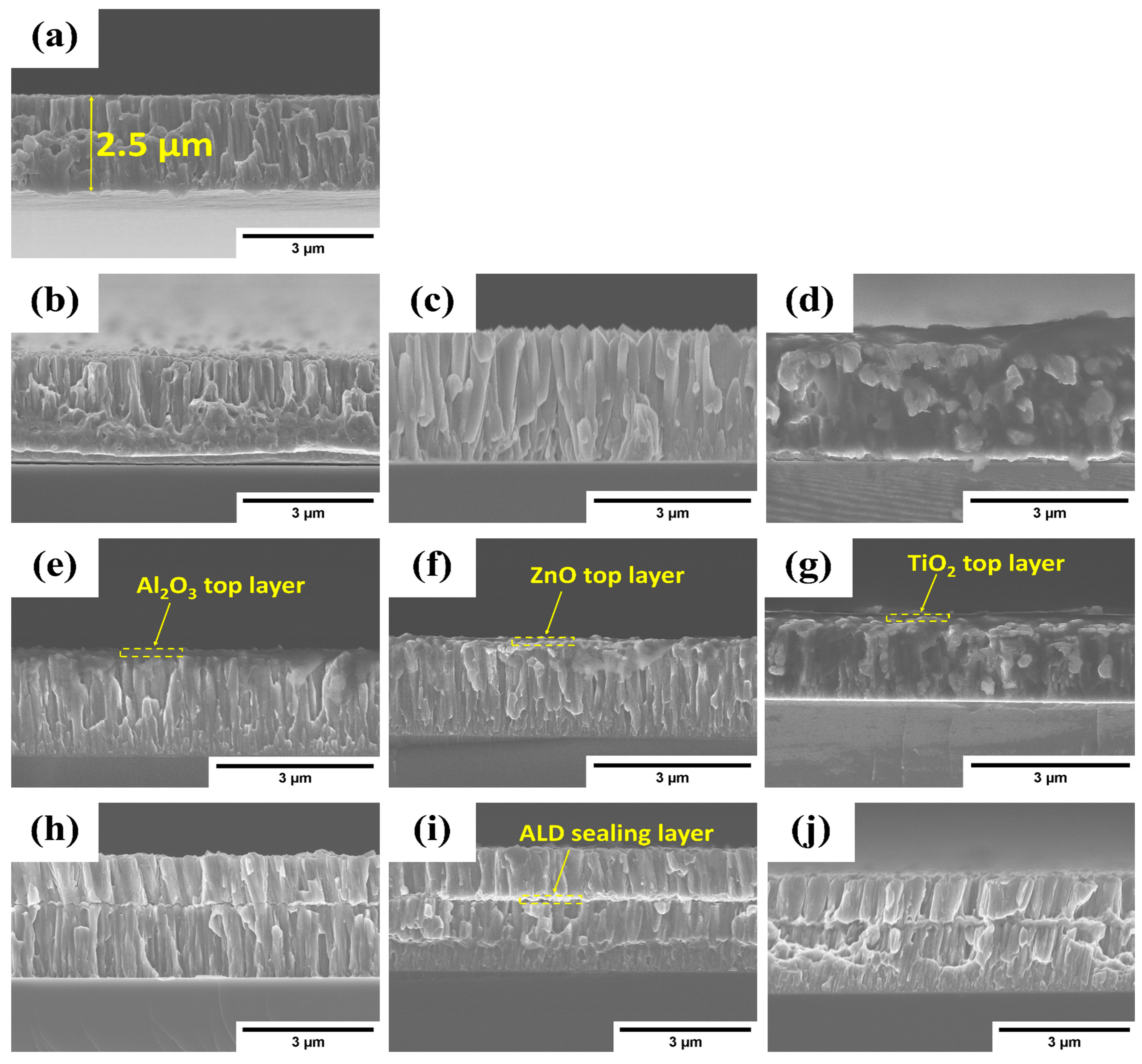 Coatings 13 00065 g004