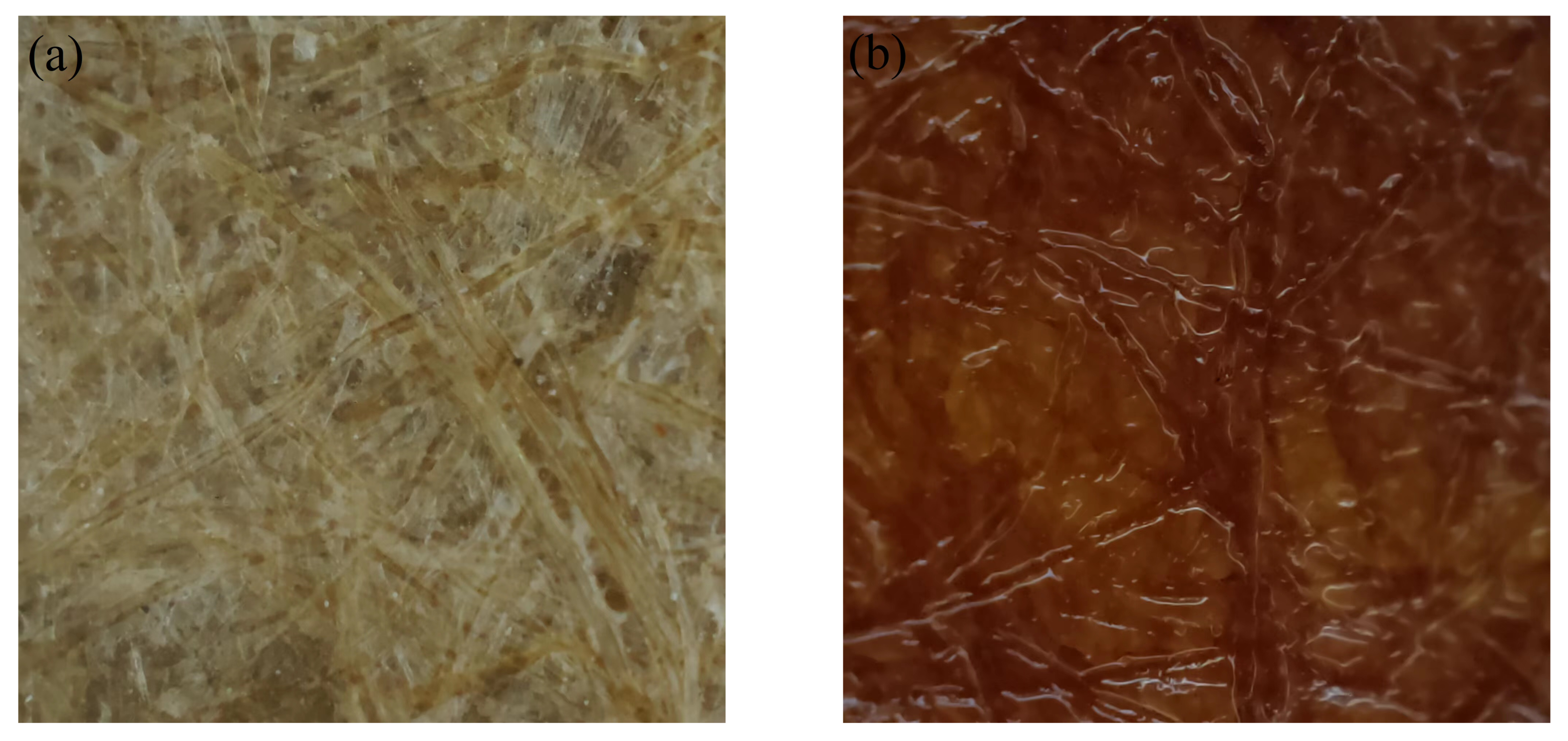 Coatings 13 00081 g001