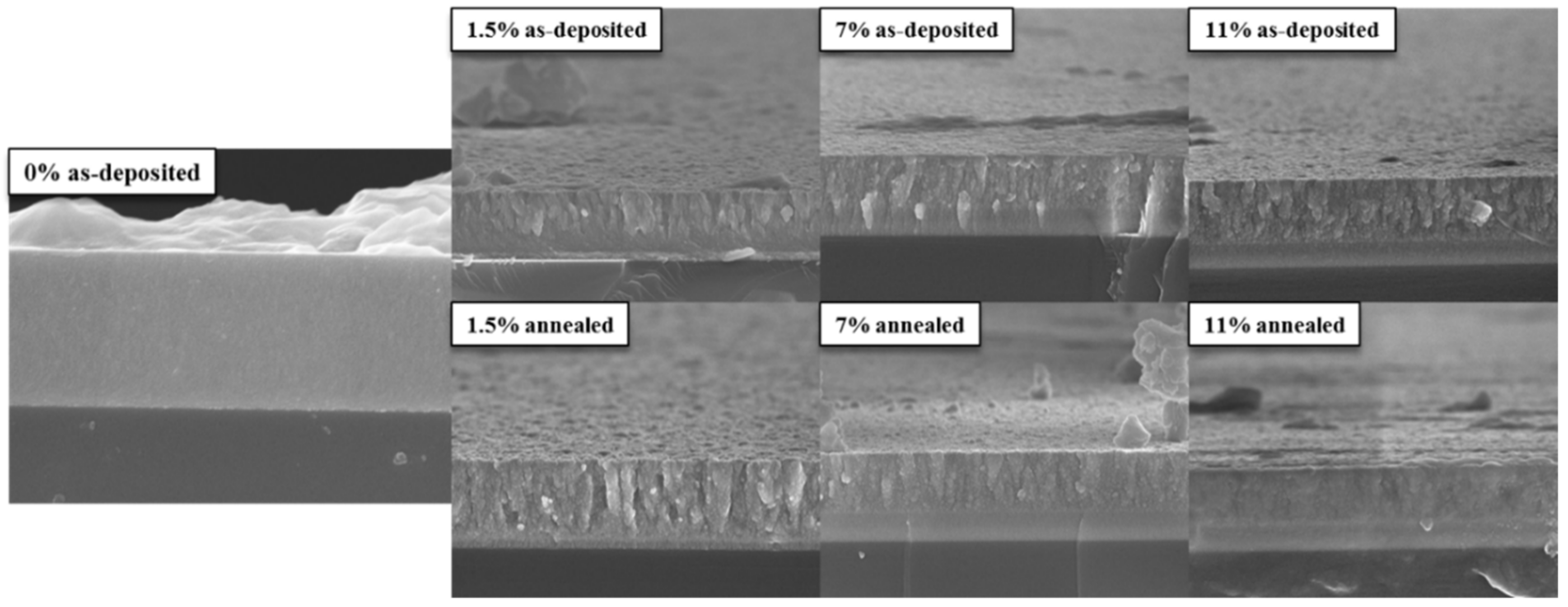 Coatings 13 00088 g002