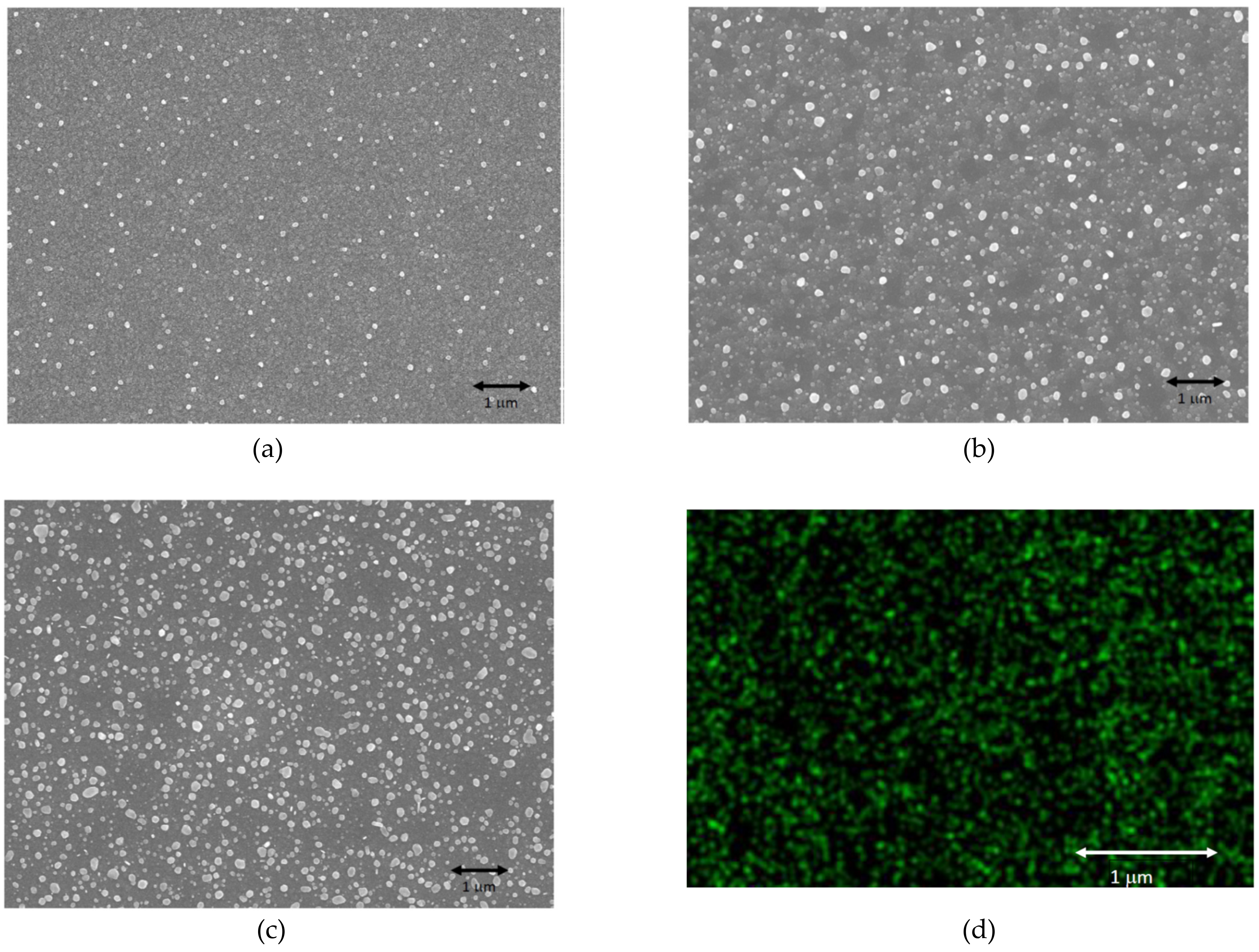 Coatings 13 00088 g003