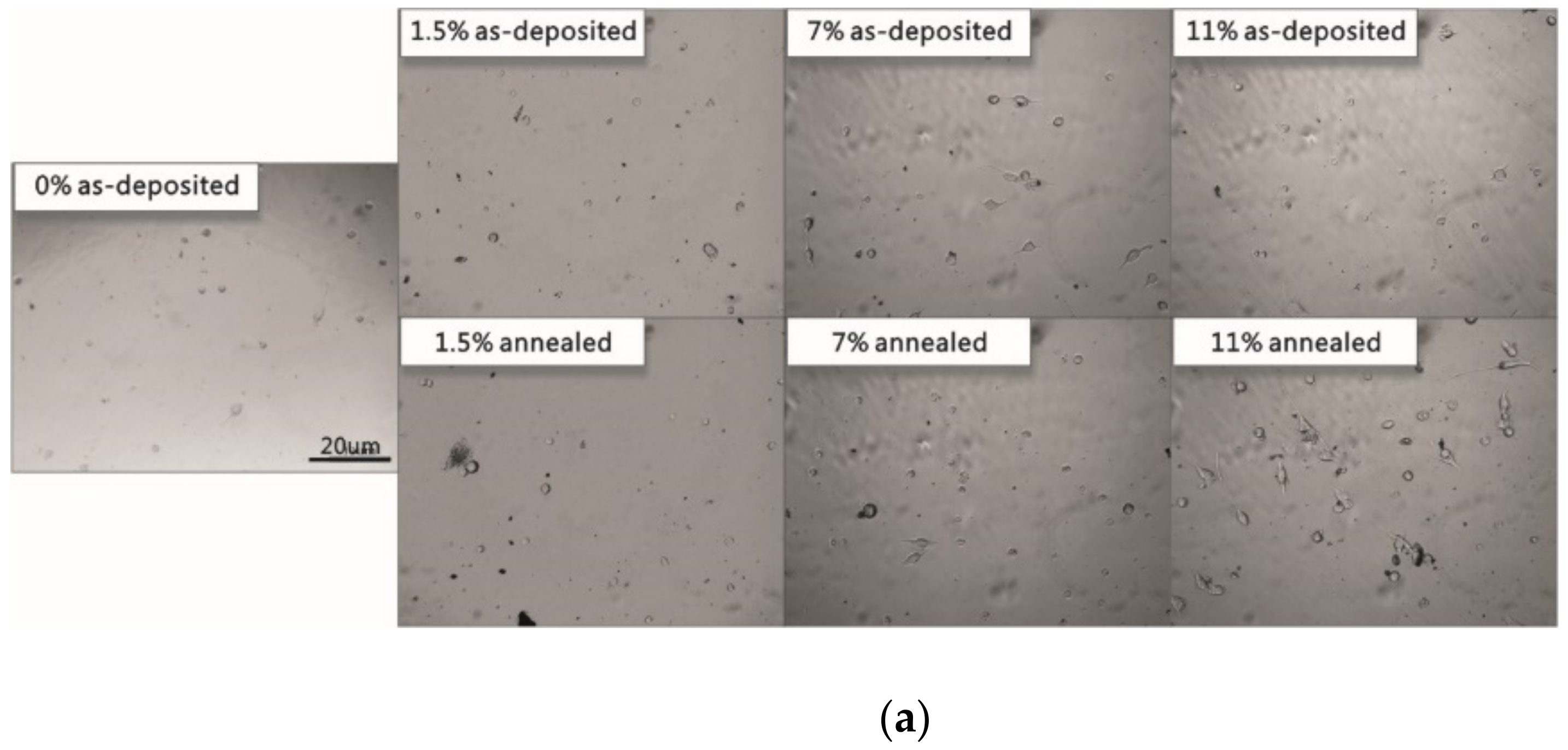 Coatings 13 00088 g007a