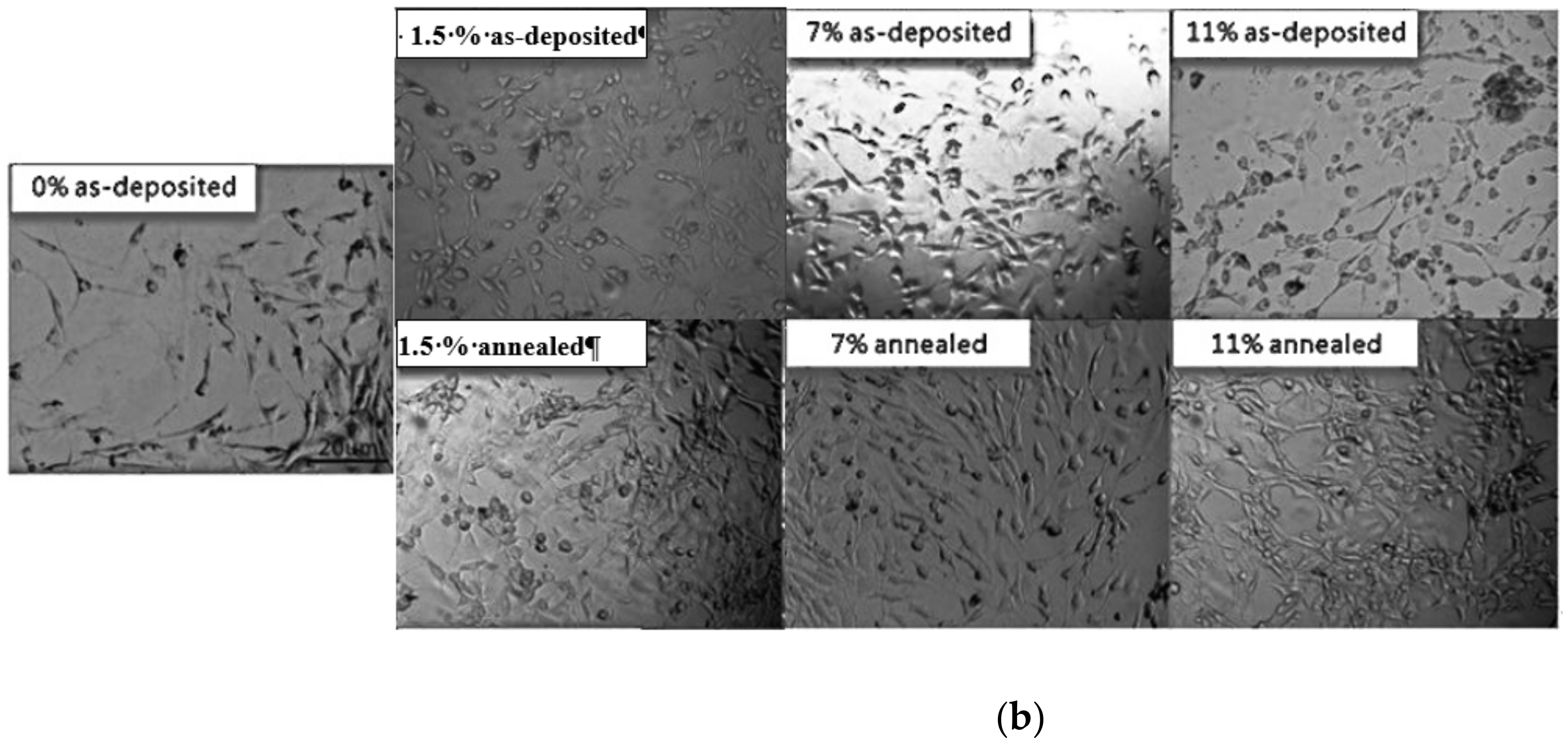 Coatings 13 00088 g007b