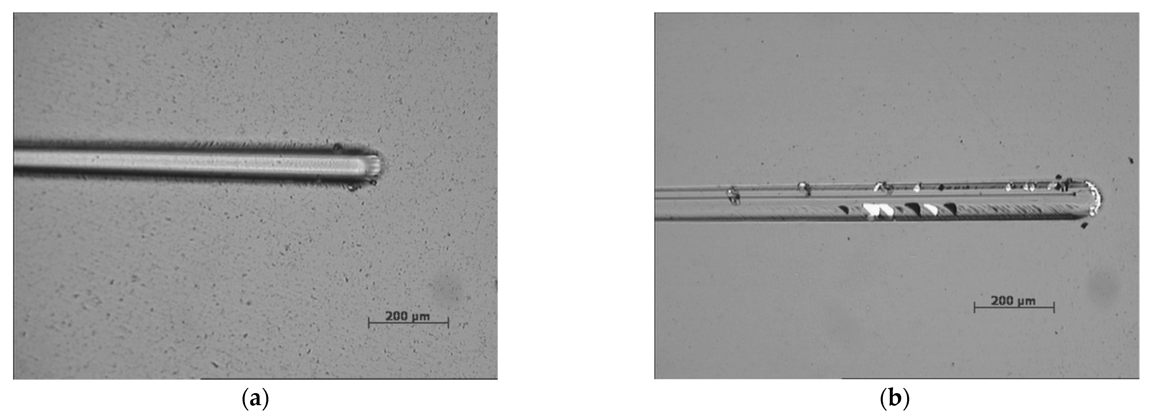 Coatings 13 00092 g004 Coatings 13 00092 g004