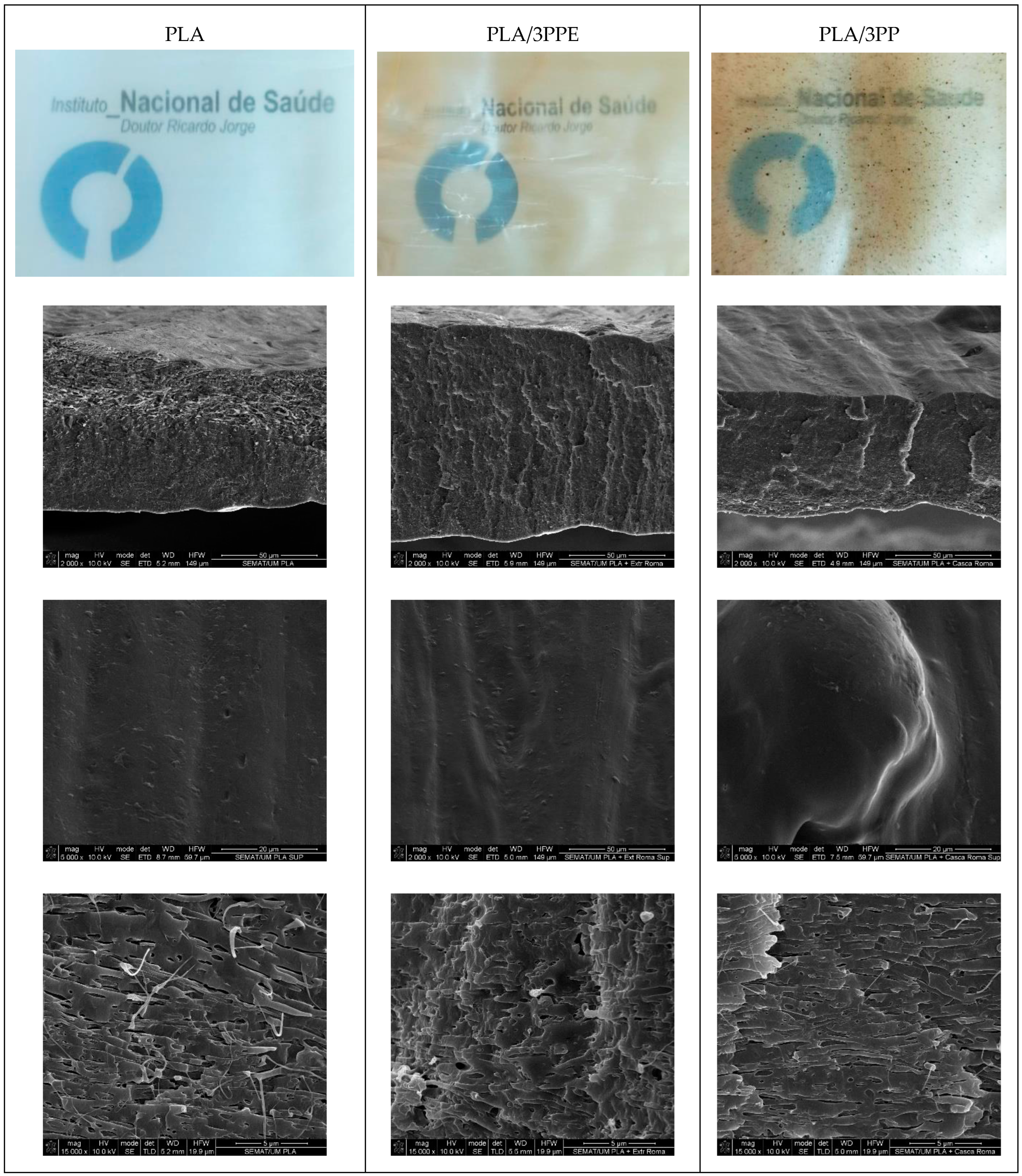 Coatings 13 00093 g002