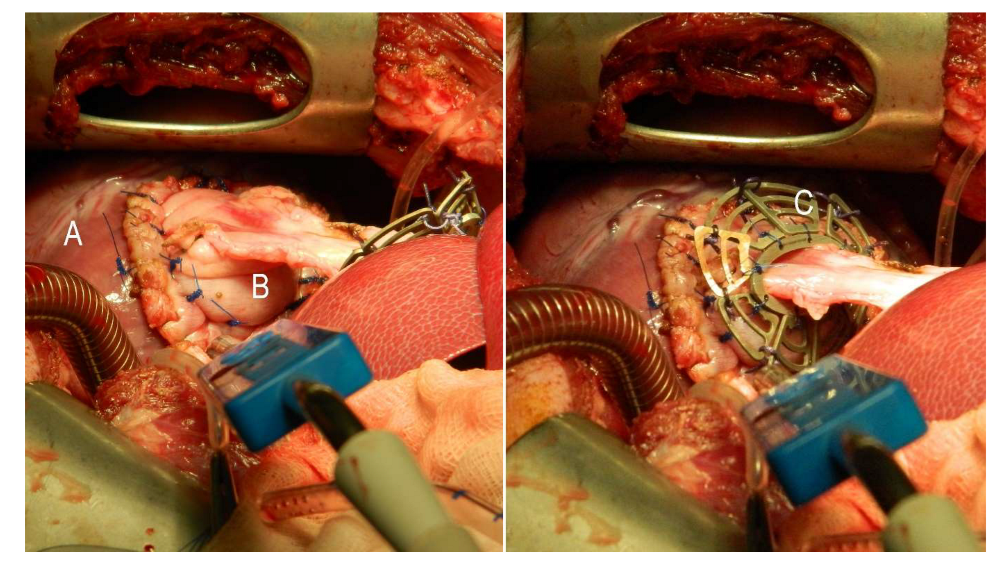 Coatings 13 00094 g001 Coatings 13 00094 g001