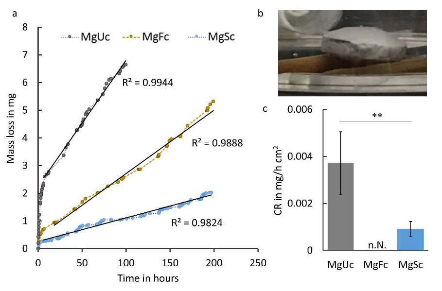 Coatings 13 00094 g005 Coatings 13 00094 g005