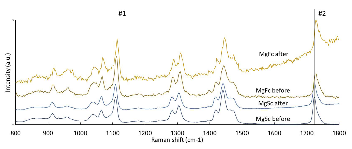 Coatings 13 00094 g007 Coatings 13 00094 g007
