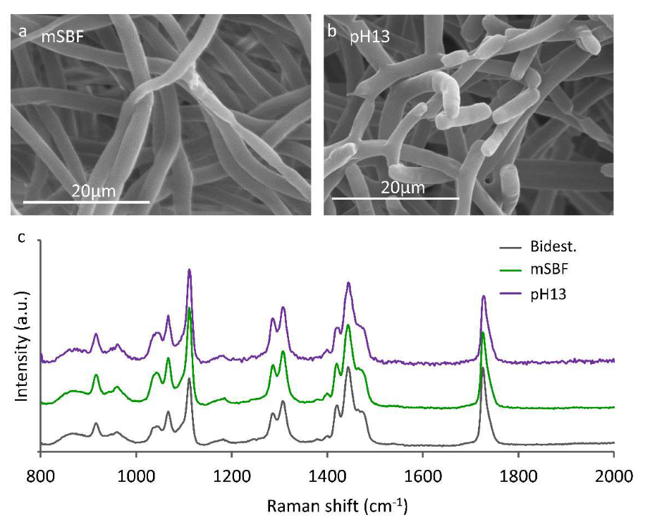 Coatings 13 00094 g009 Coatings 13 00094 g009