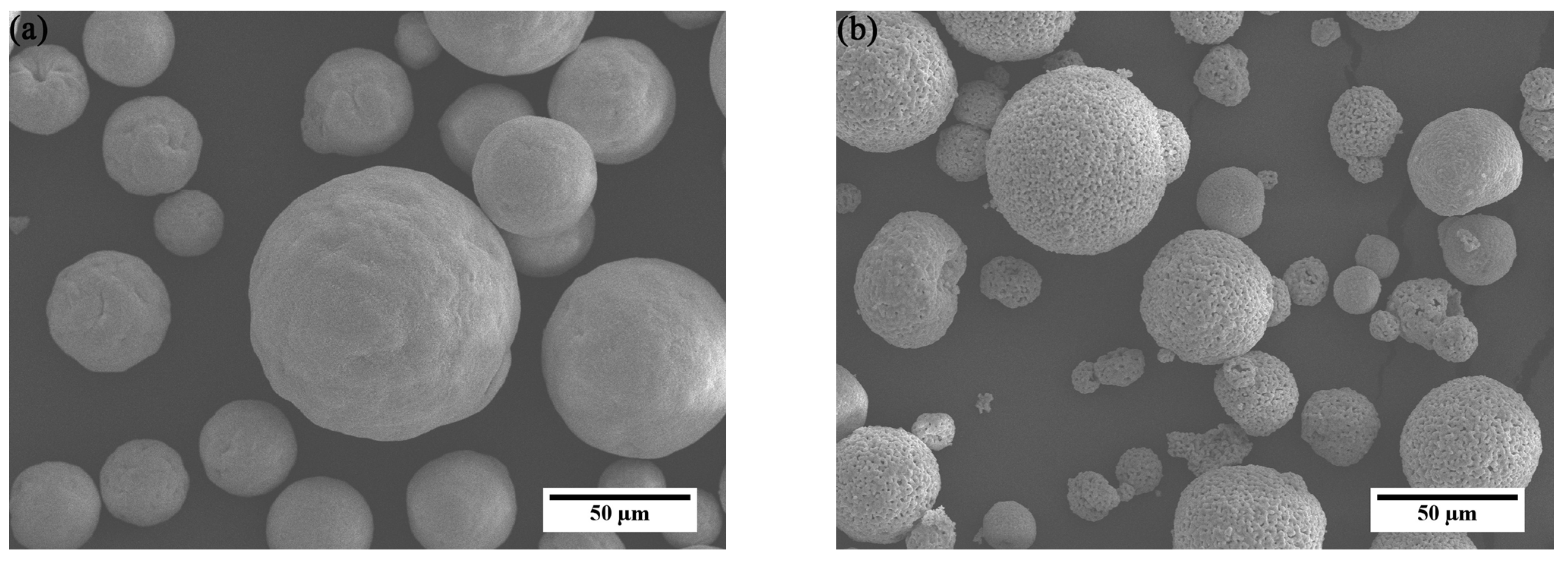 Coatings 13 00096 g002a Coatings 13 00096 g002a