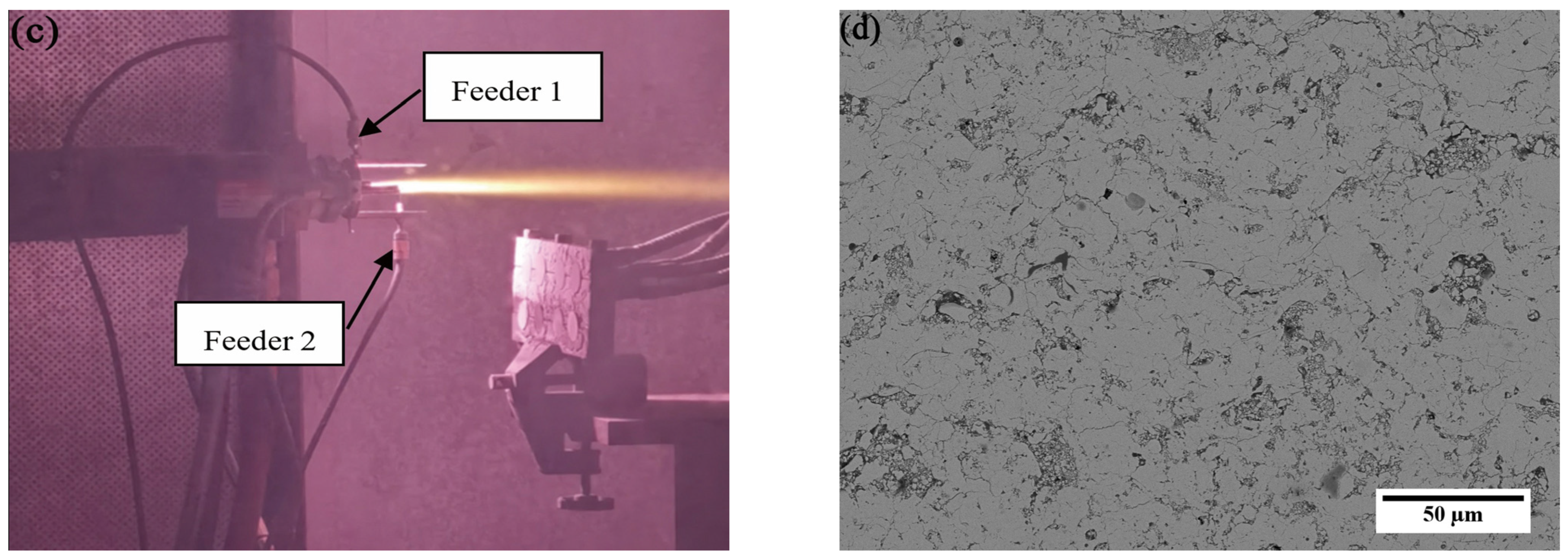 Coatings 13 00096 g002b Coatings 13 00096 g002b