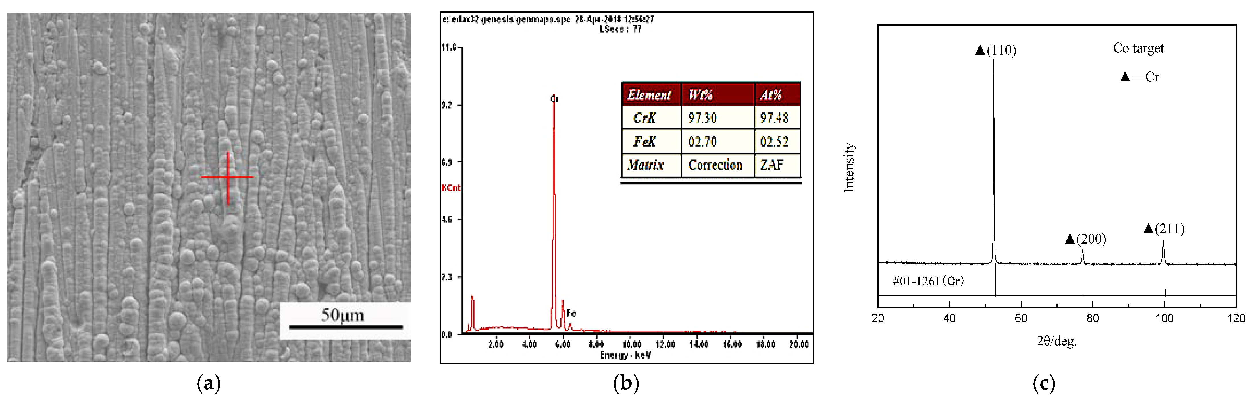 Coatings 13 00098 g004 550