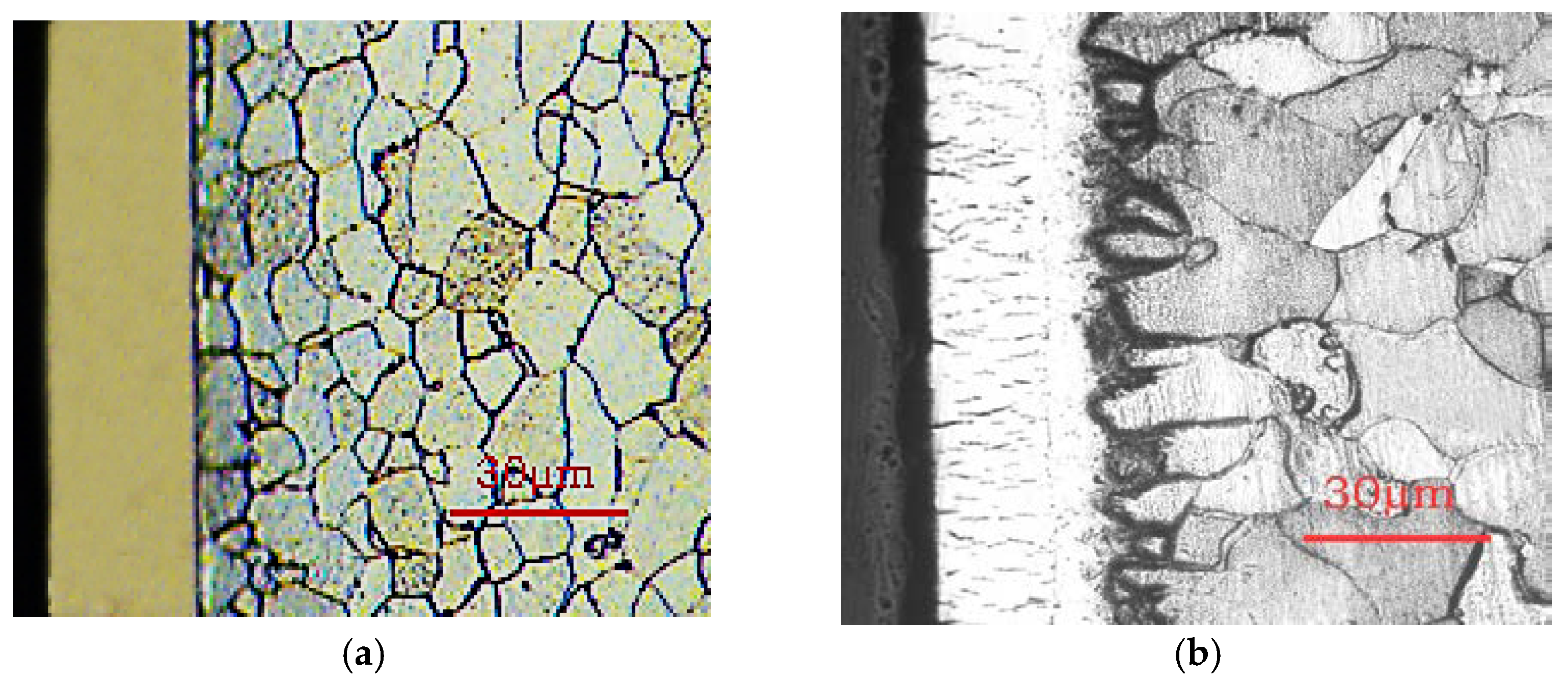 Coatings 13 00098 g005 550