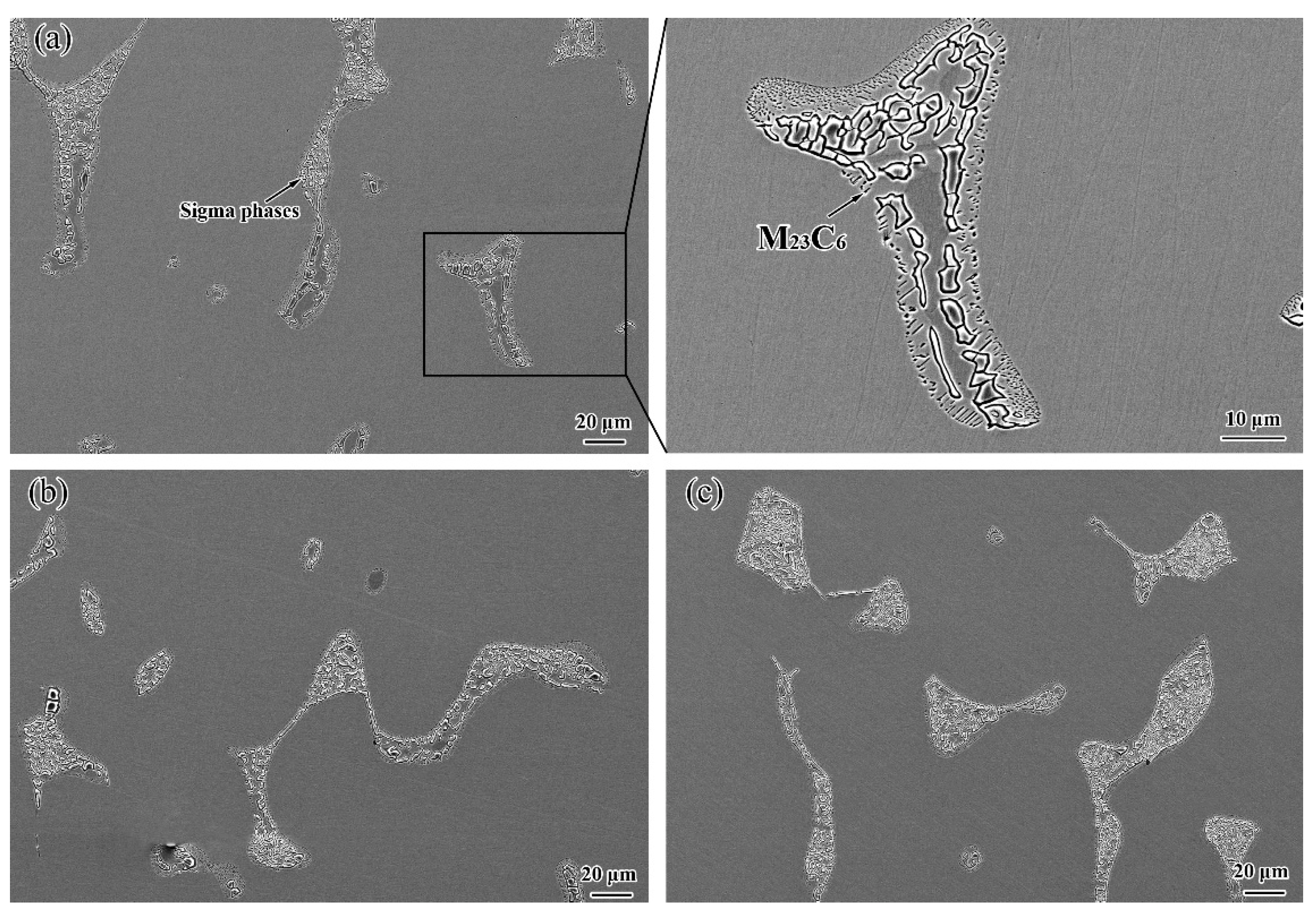 Coatings 13 00101 g006 Coatings 13 00101 g006