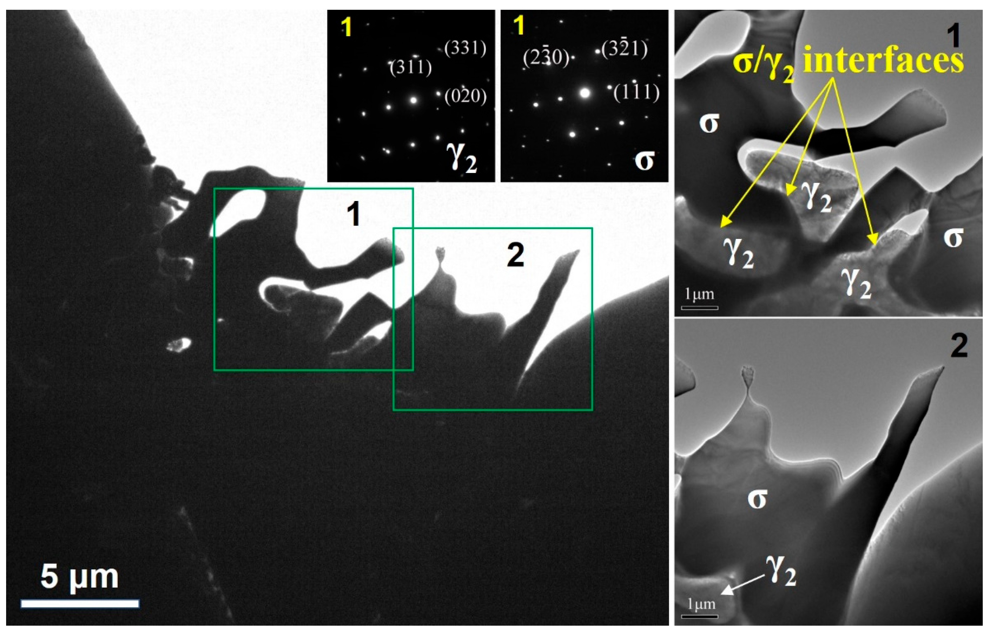 Coatings 13 00101 g007 Coatings 13 00101 g007