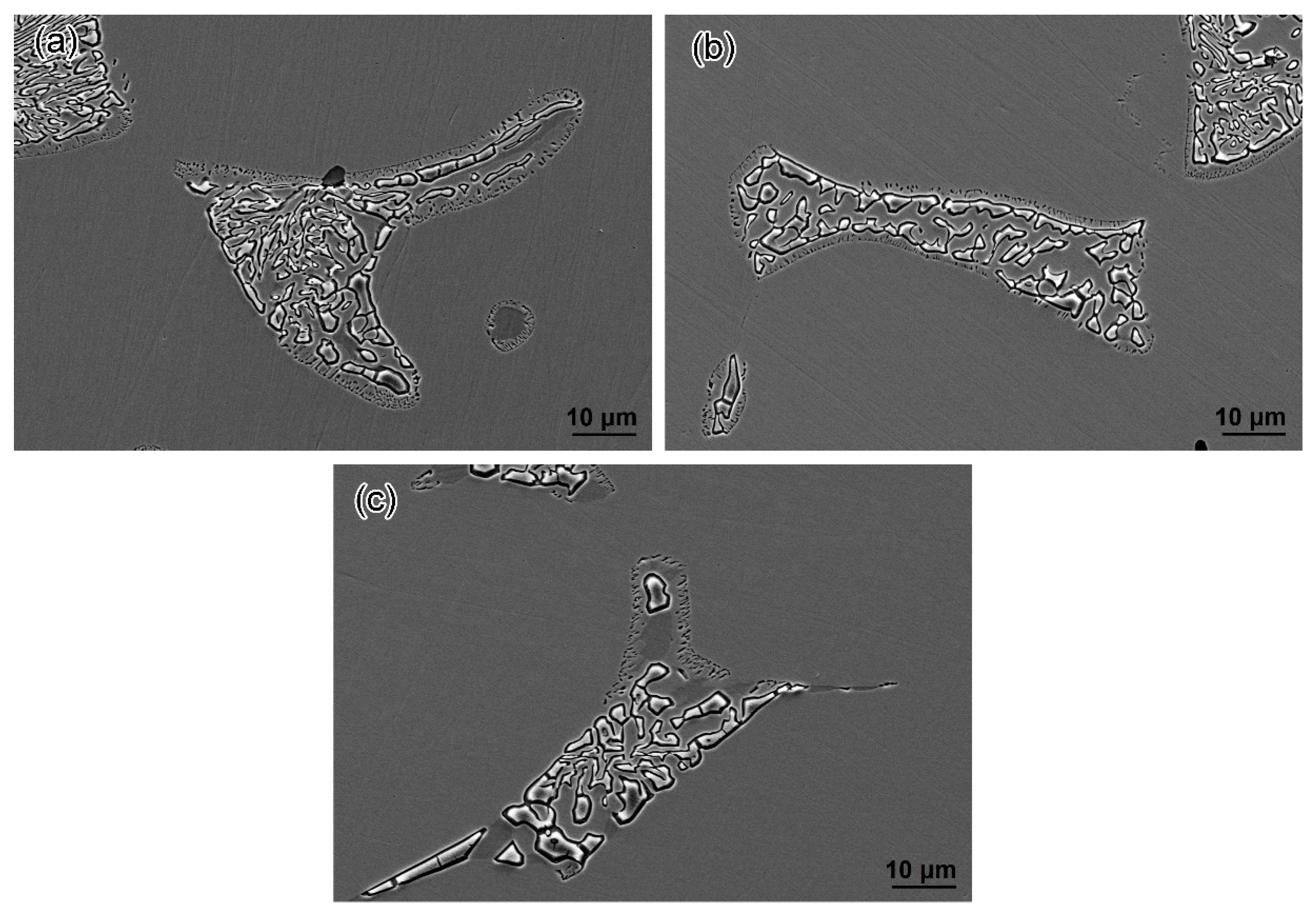 Coatings 13 00101 g009 Coatings 13 00101 g009