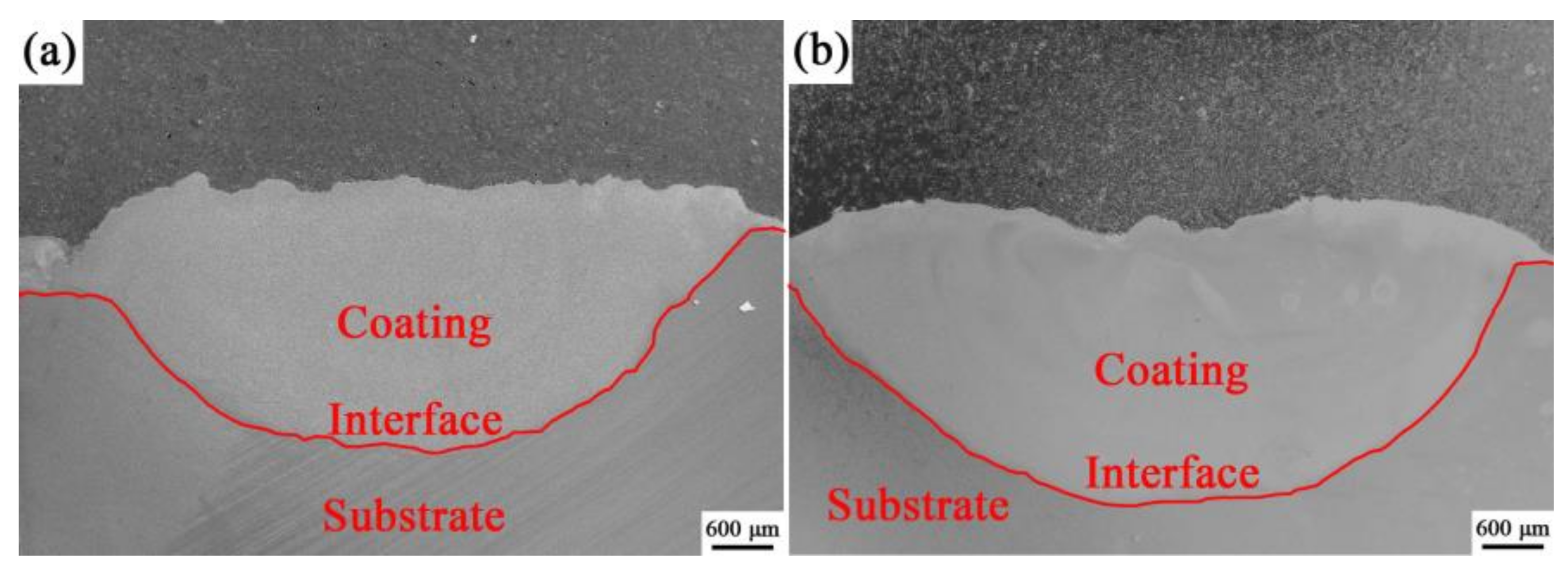 Coatings 13 00105 g002 550