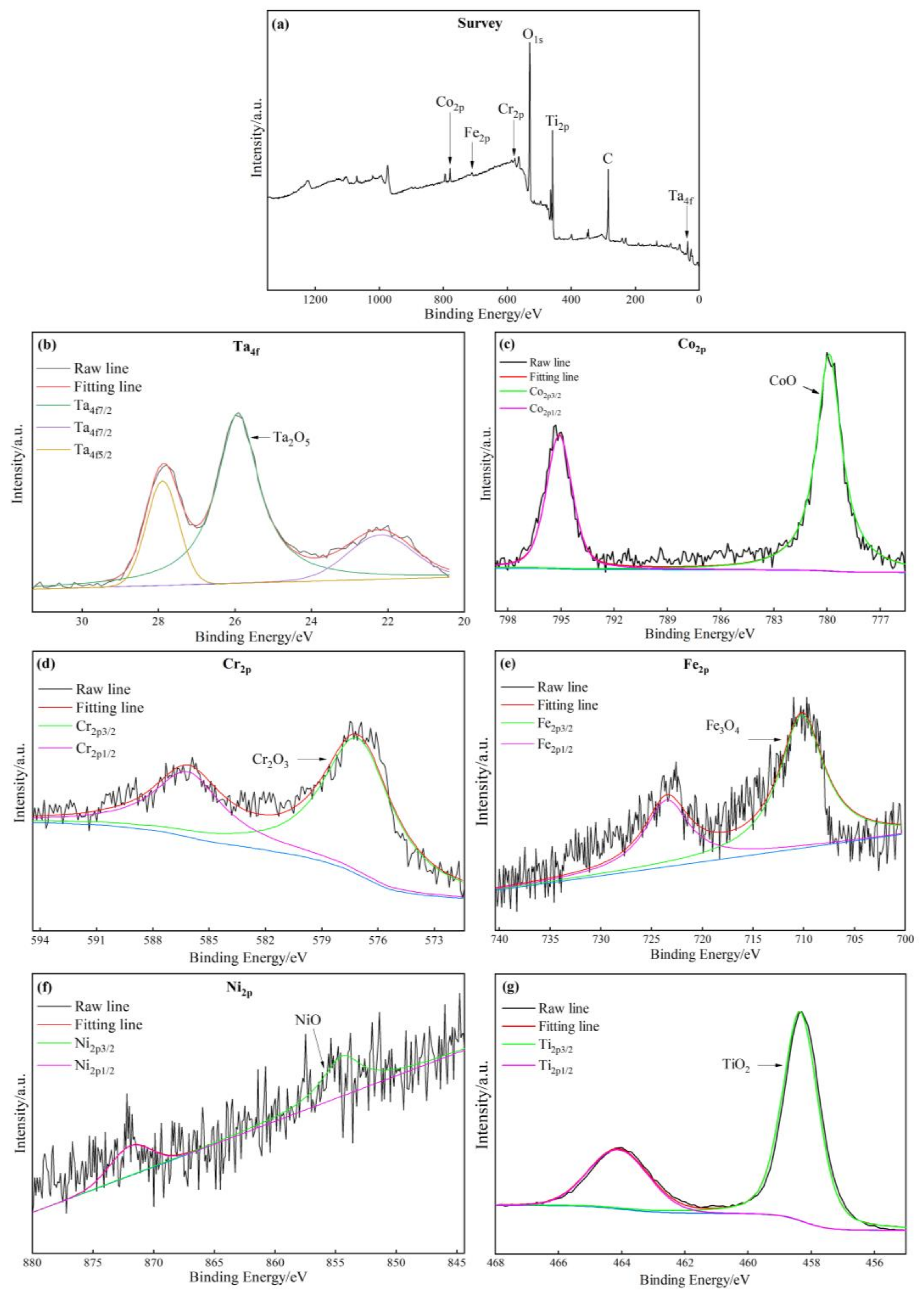 Coatings 13 00105 g005 550