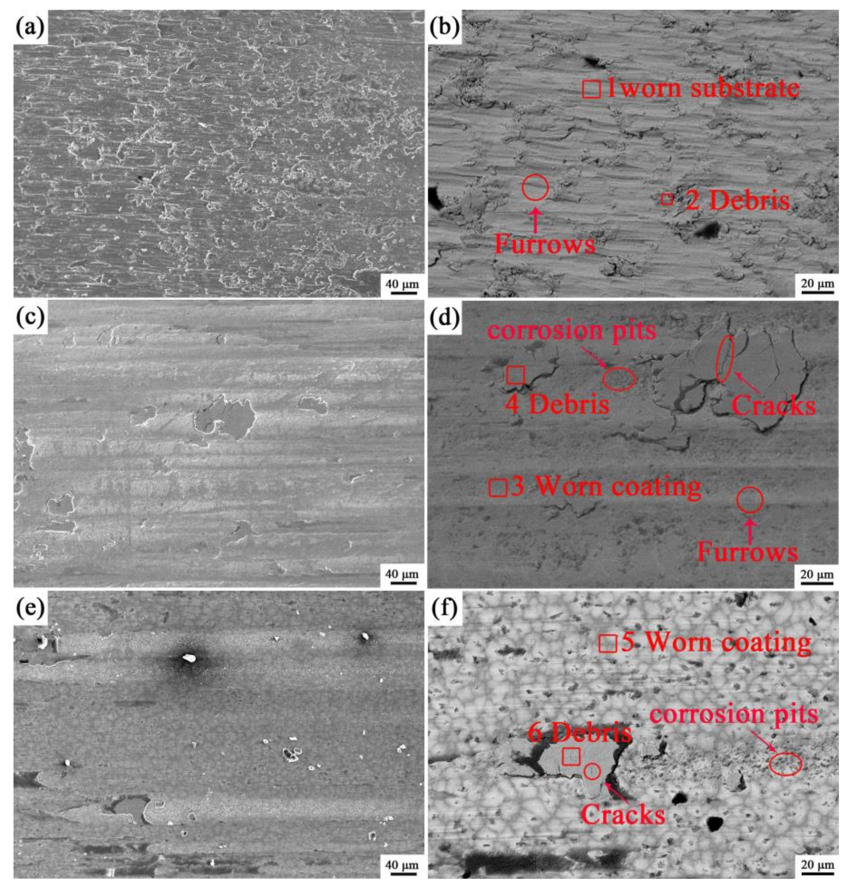 Coatings 13 00105 g009 550