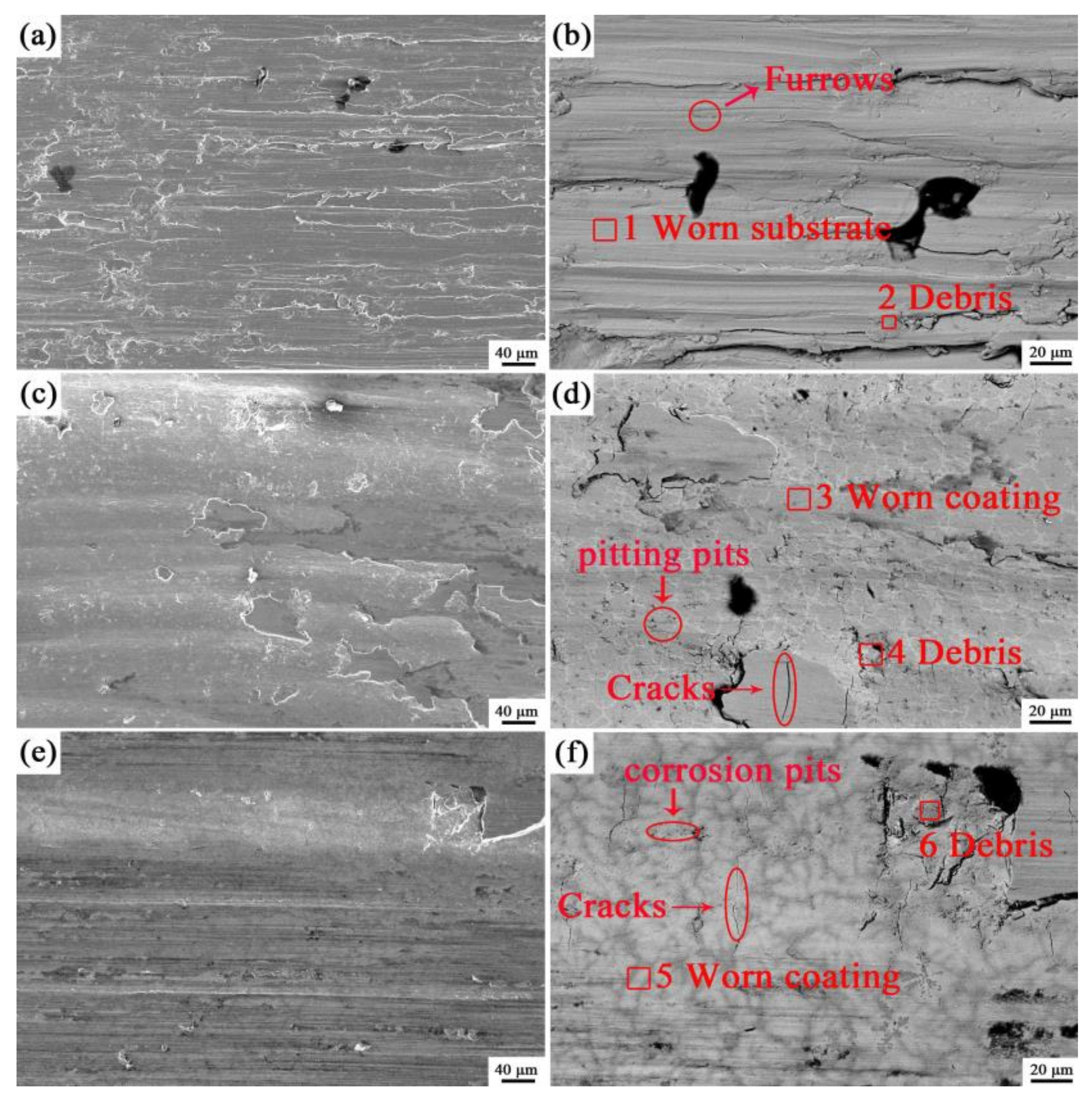 Coatings 13 00105 g012 550