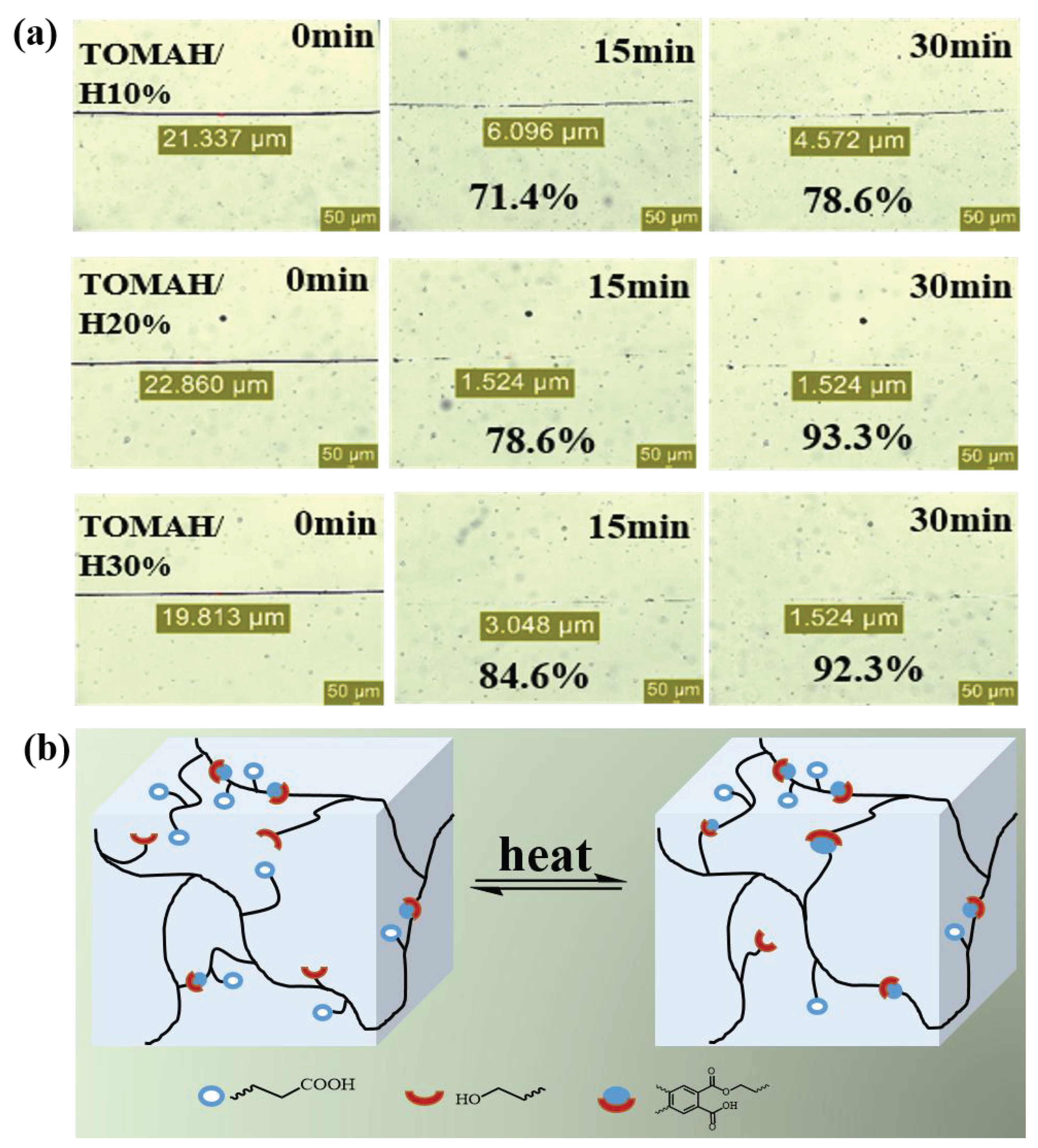 Coatings 13 00110 g005 Coatings 13 00110 g005