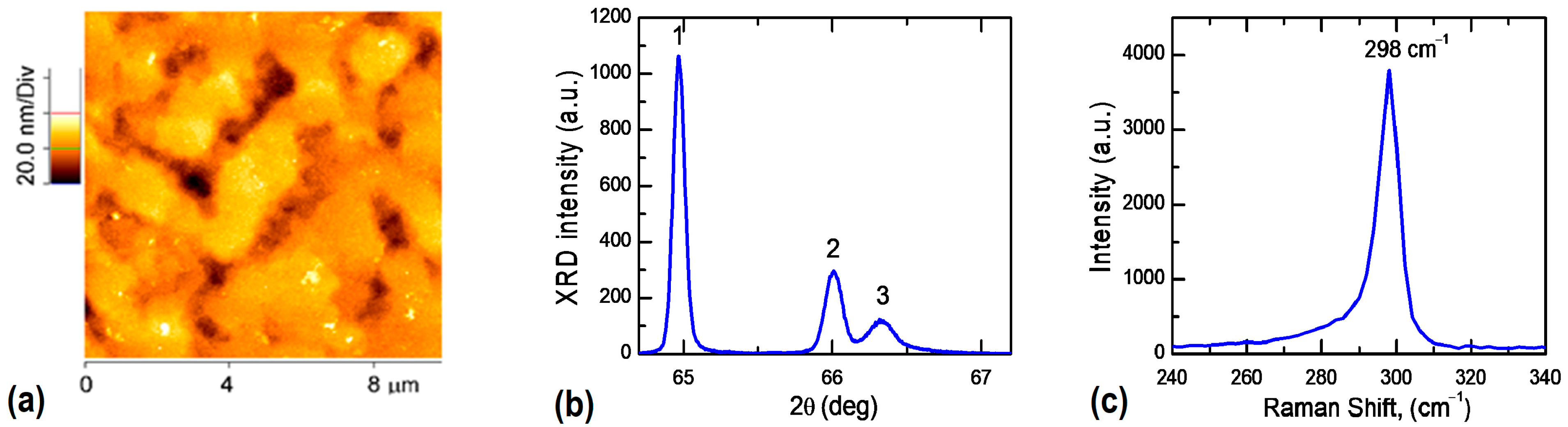 Coatings 13 00111 g001
