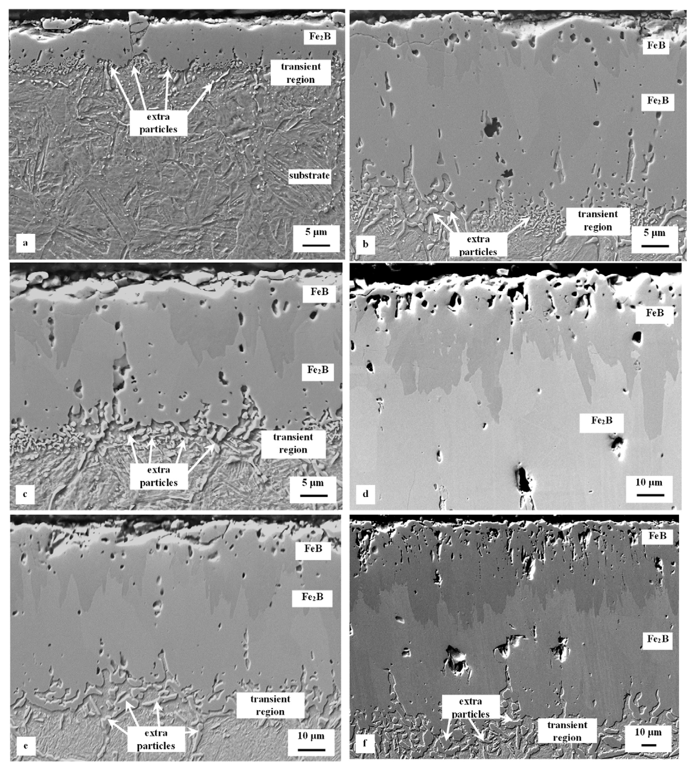 Coatings 13 00113 g003