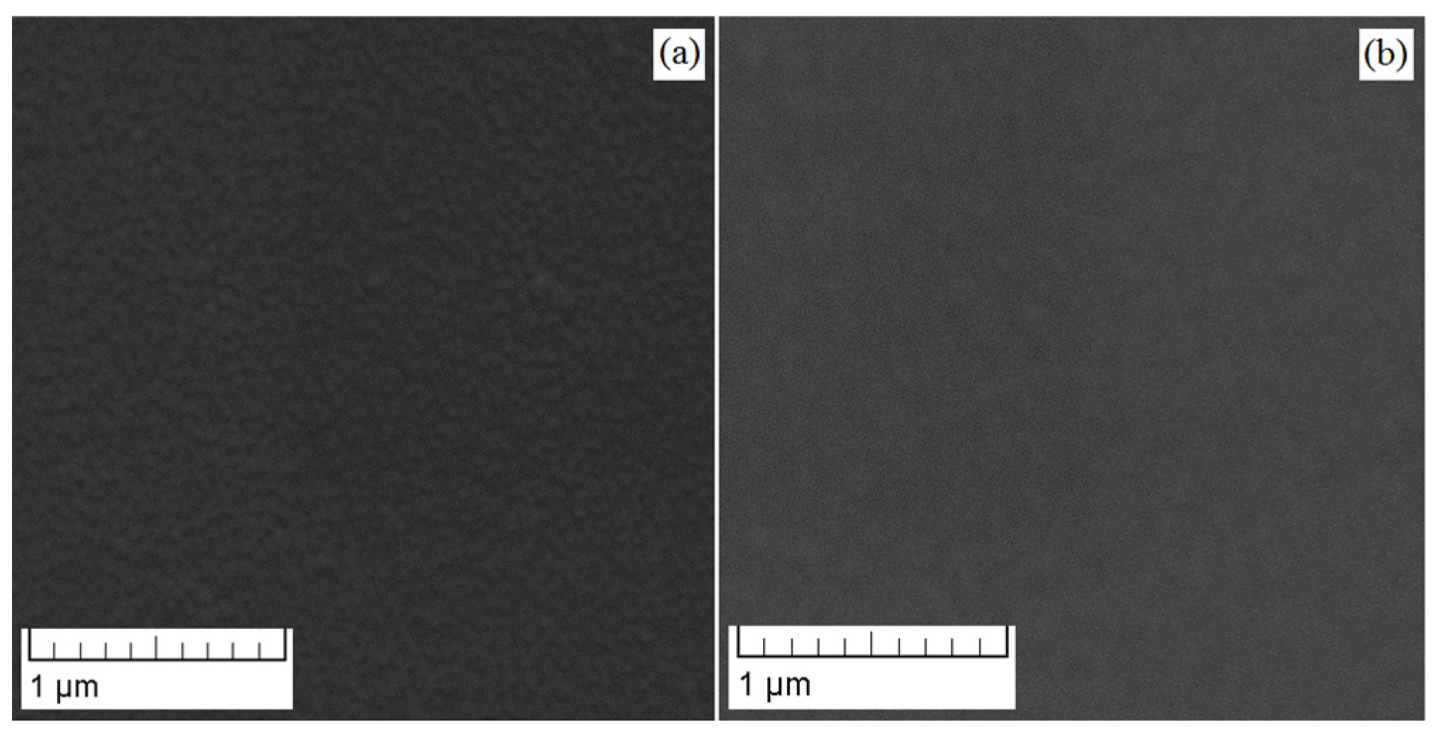 Coatings 13 00114 g003 Coatings 13 00114 g003