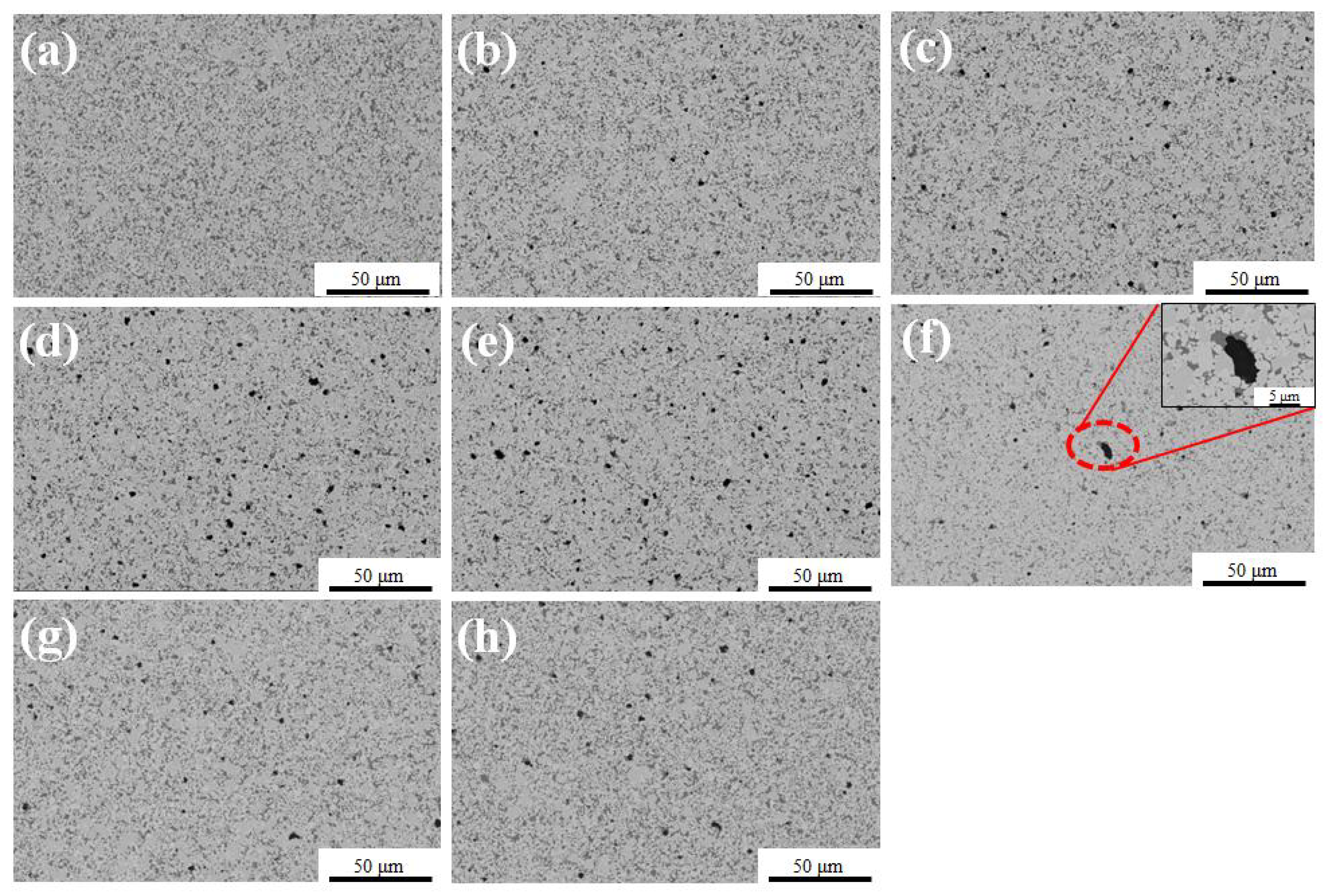 Coatings 13 00116 g011 Coatings 13 00116 g011