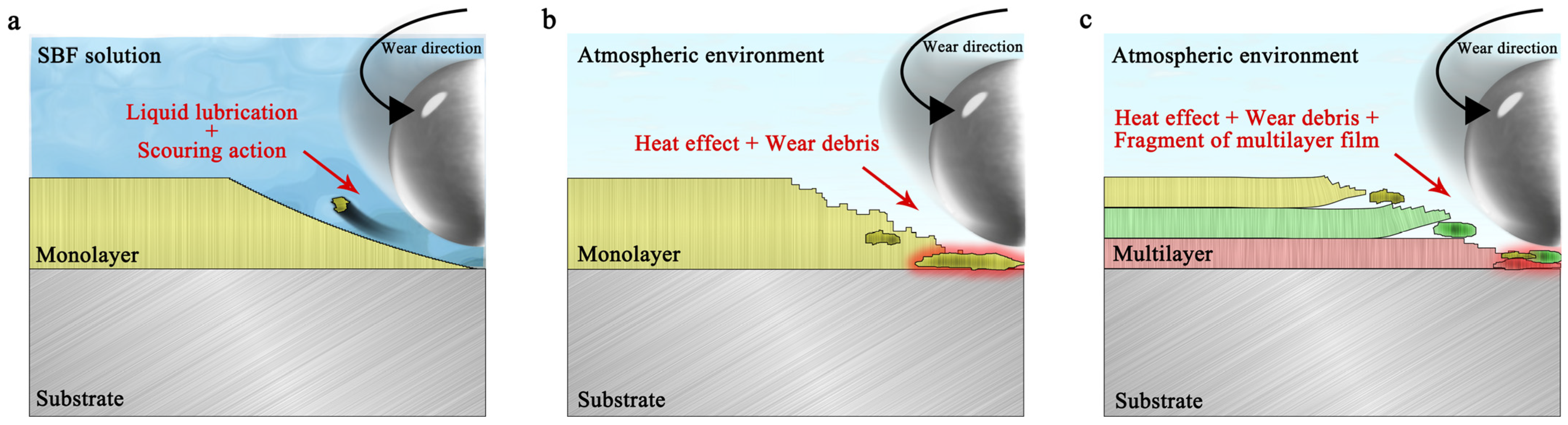 Coatings 13 00120 g009