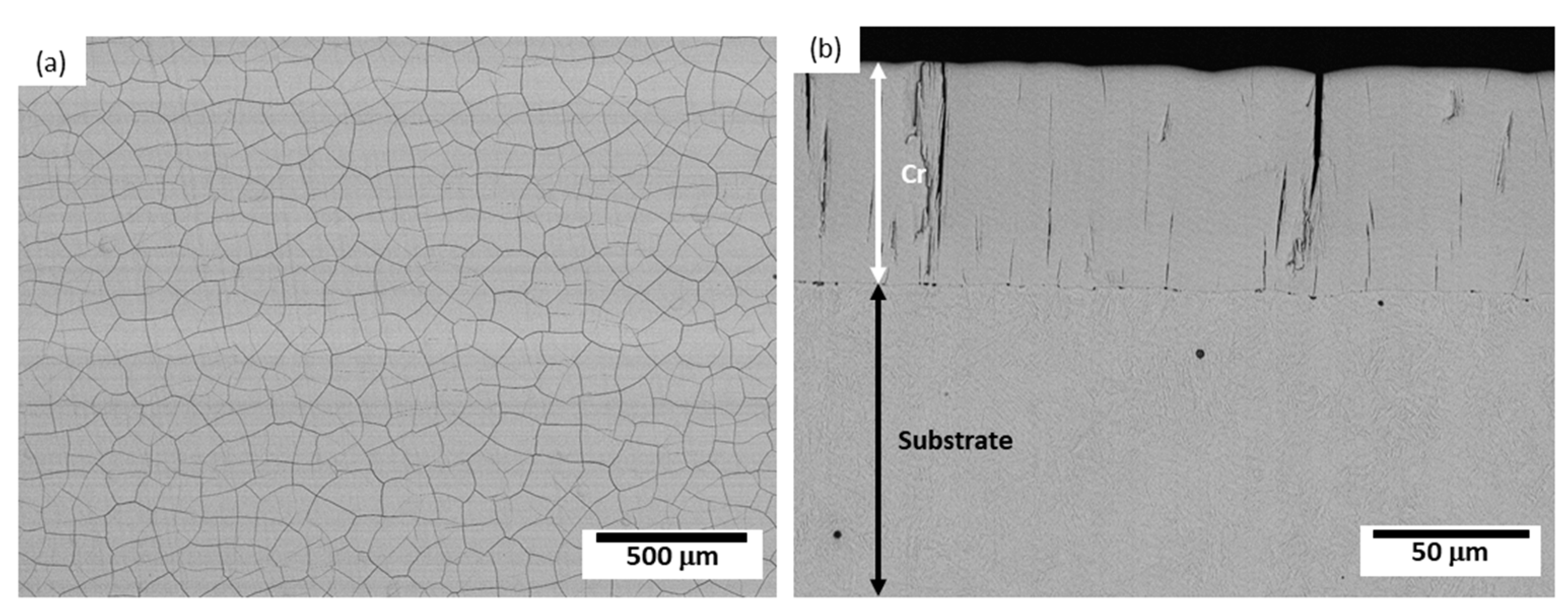 Coatings 13 00124 g001 Coatings 13 00124 g001