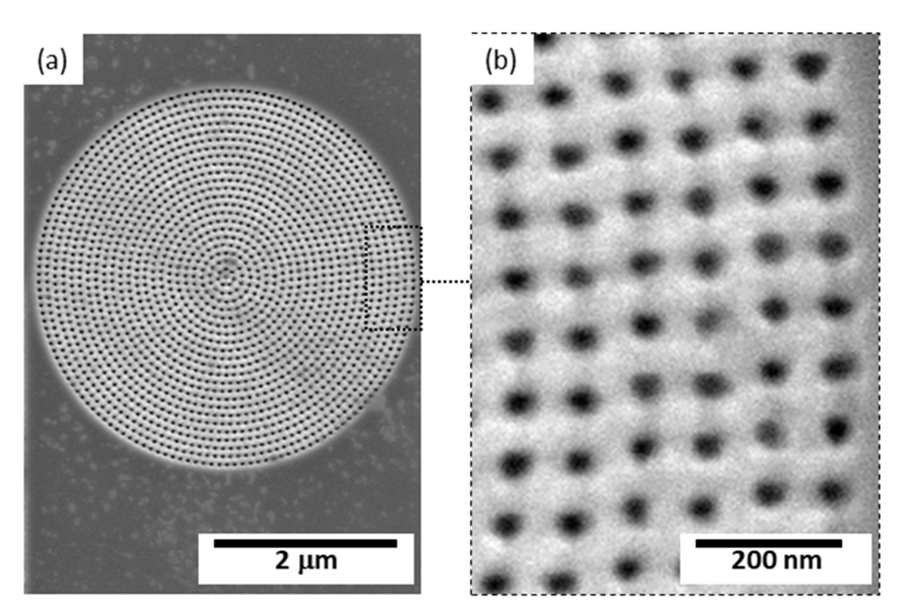 Coatings 13 00124 g004 Coatings 13 00124 g004