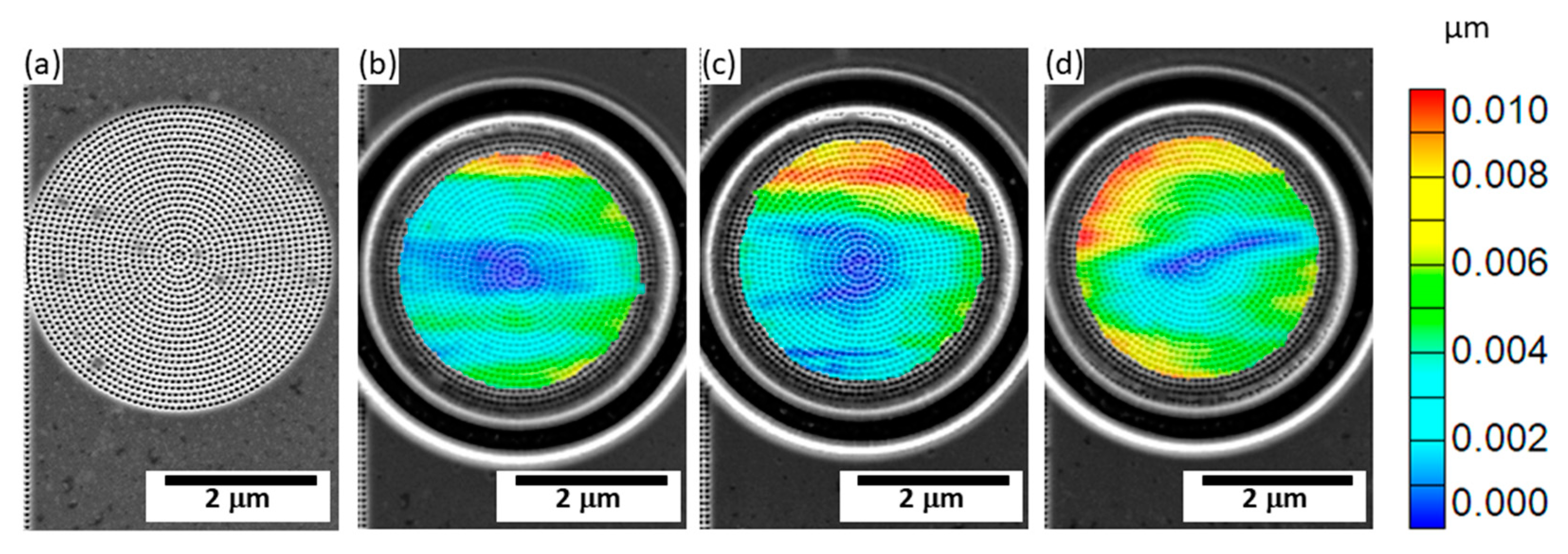 Coatings 13 00124 g009 Coatings 13 00124 g009