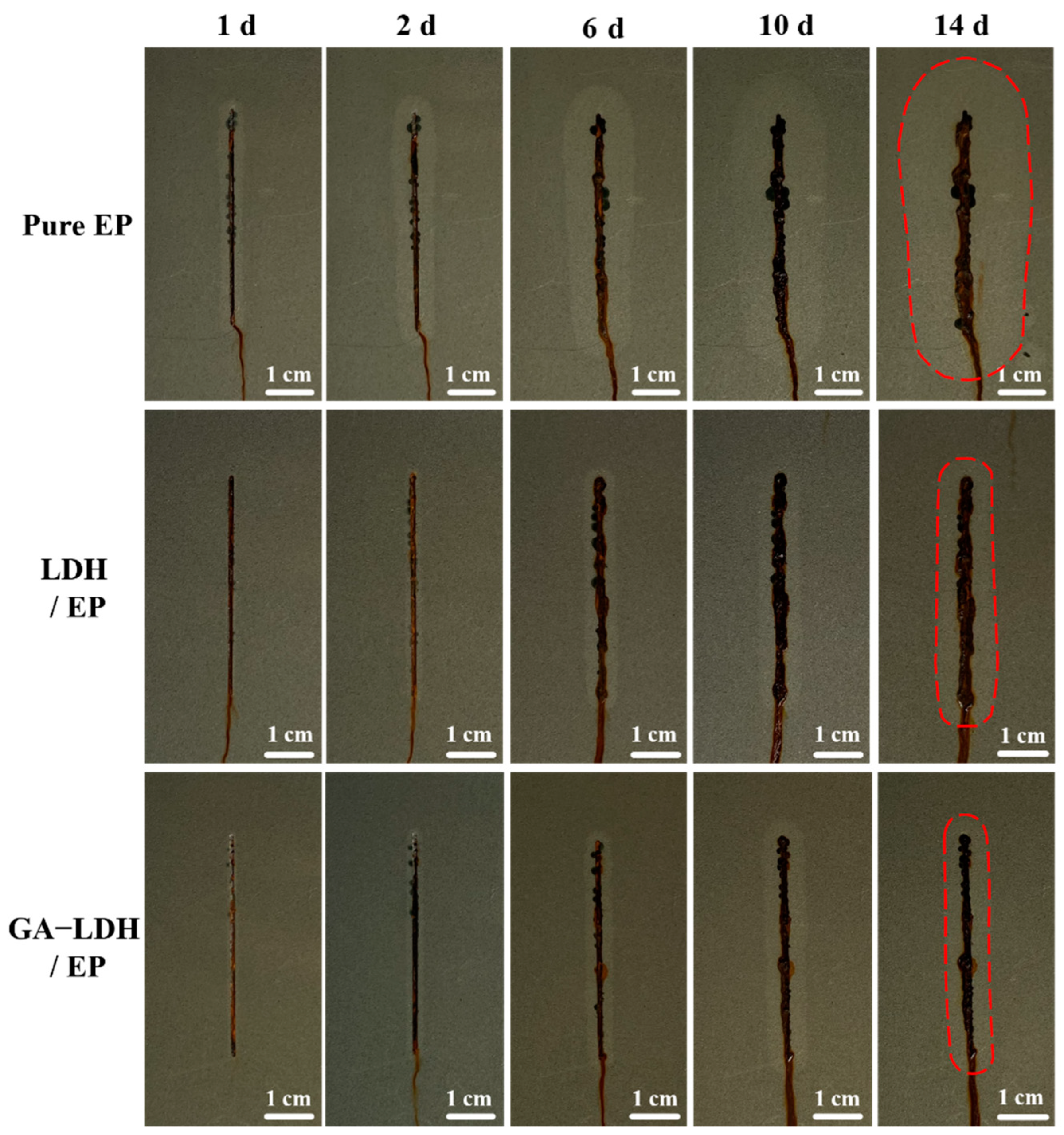 Coatings 13 00128 g011 Coatings 13 00128 g011