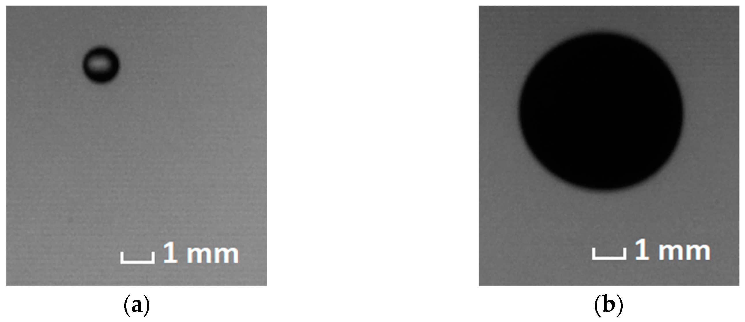 Coatings 13 00129 g008 Coatings 13 00129 g008