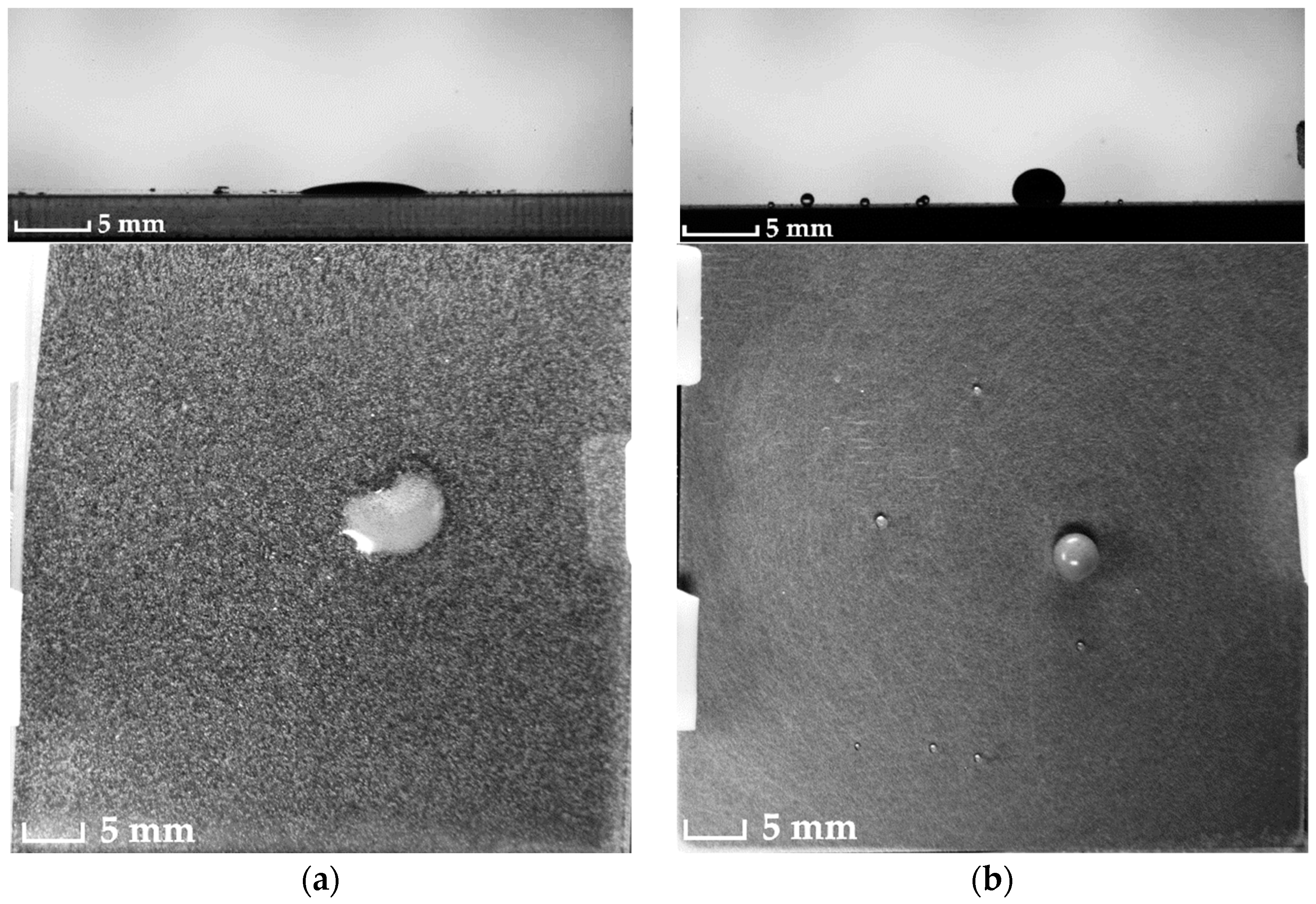 Coatings 13 00129 g009 Coatings 13 00129 g009