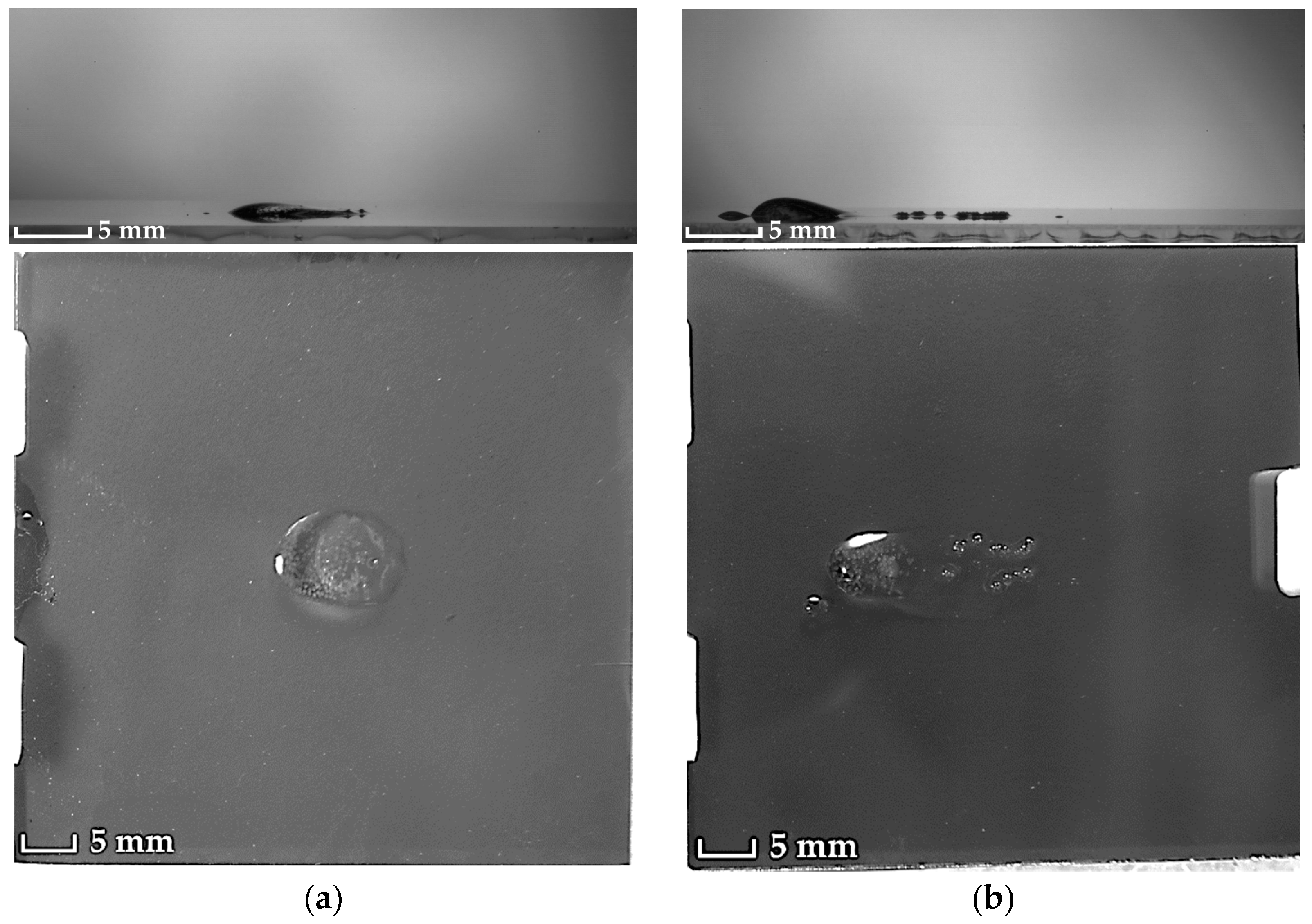 Coatings 13 00129 g012 Coatings 13 00129 g012