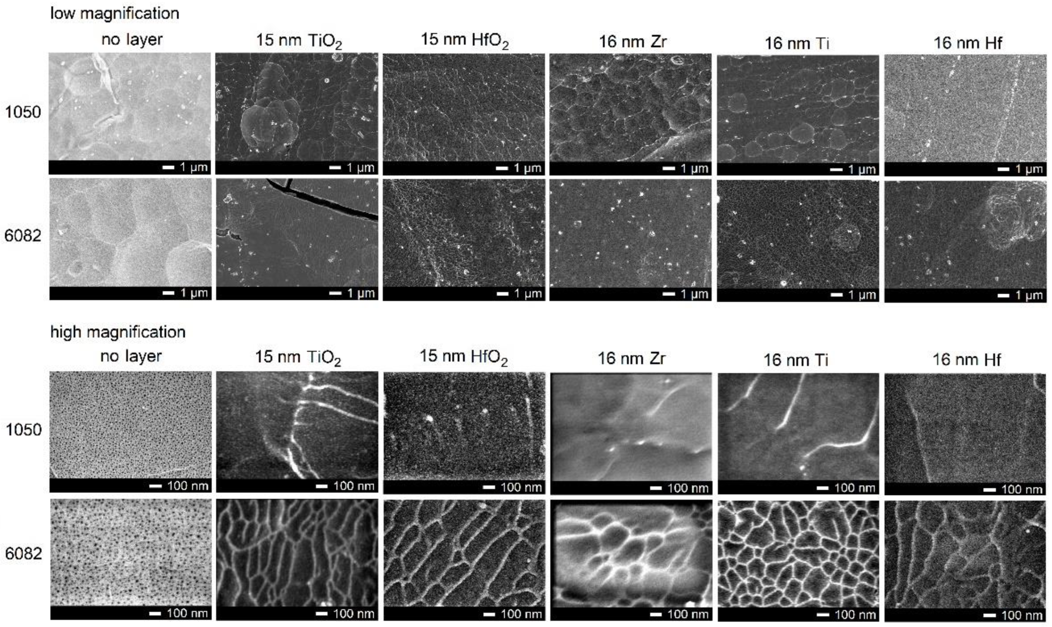 Coatings 13 00132 g001