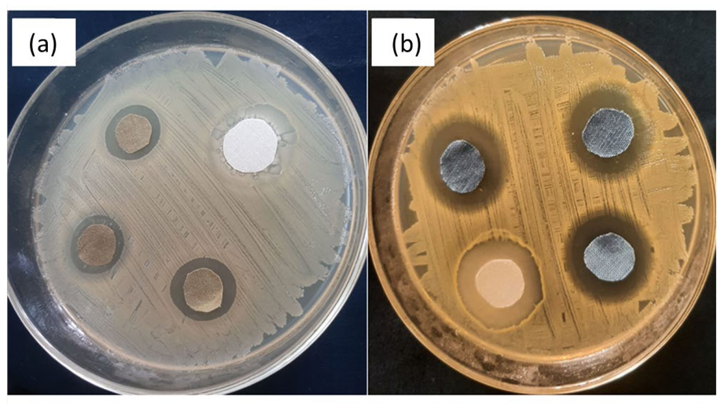 Coatings 13 00133 g010