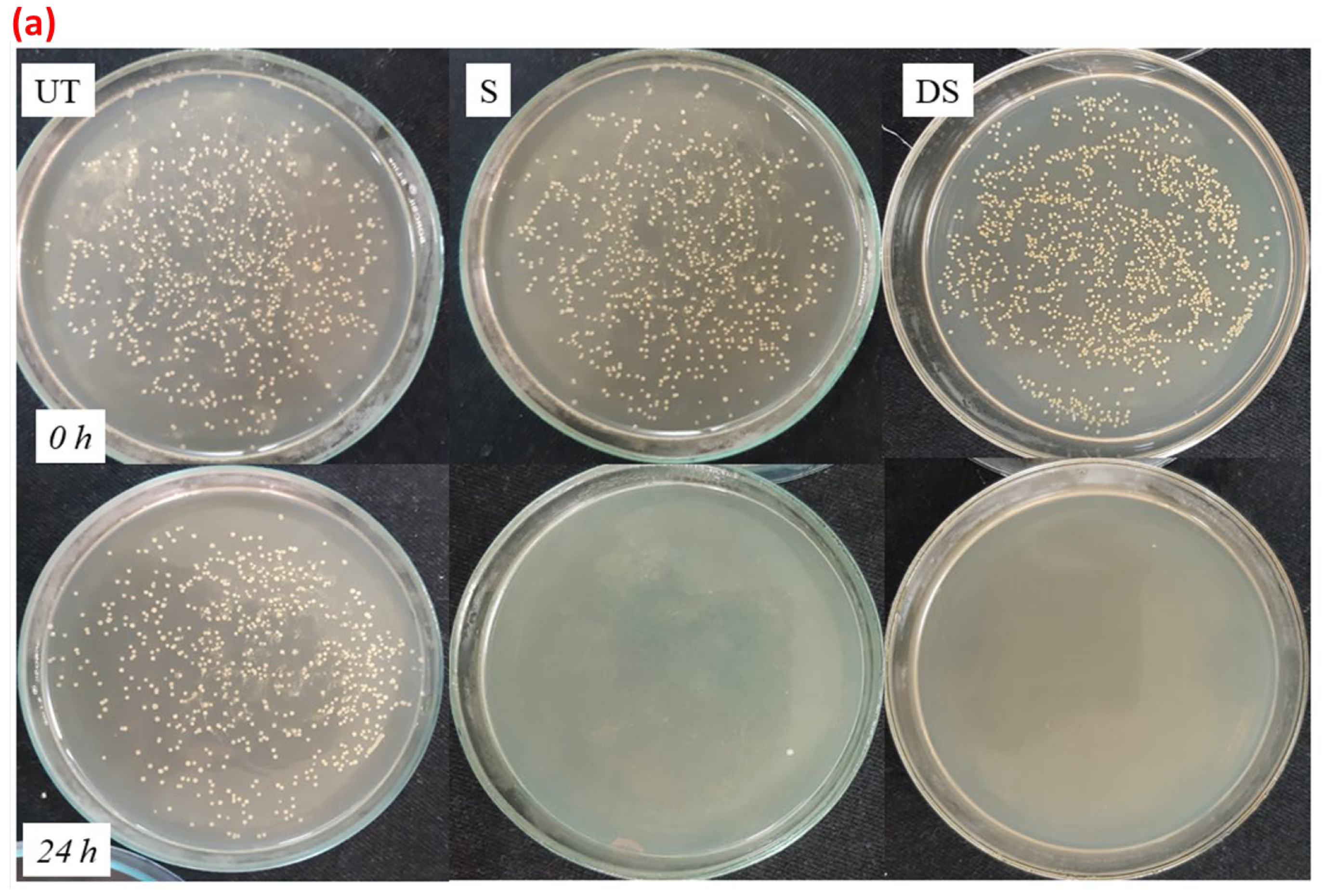 Coatings 13 00133 g012a