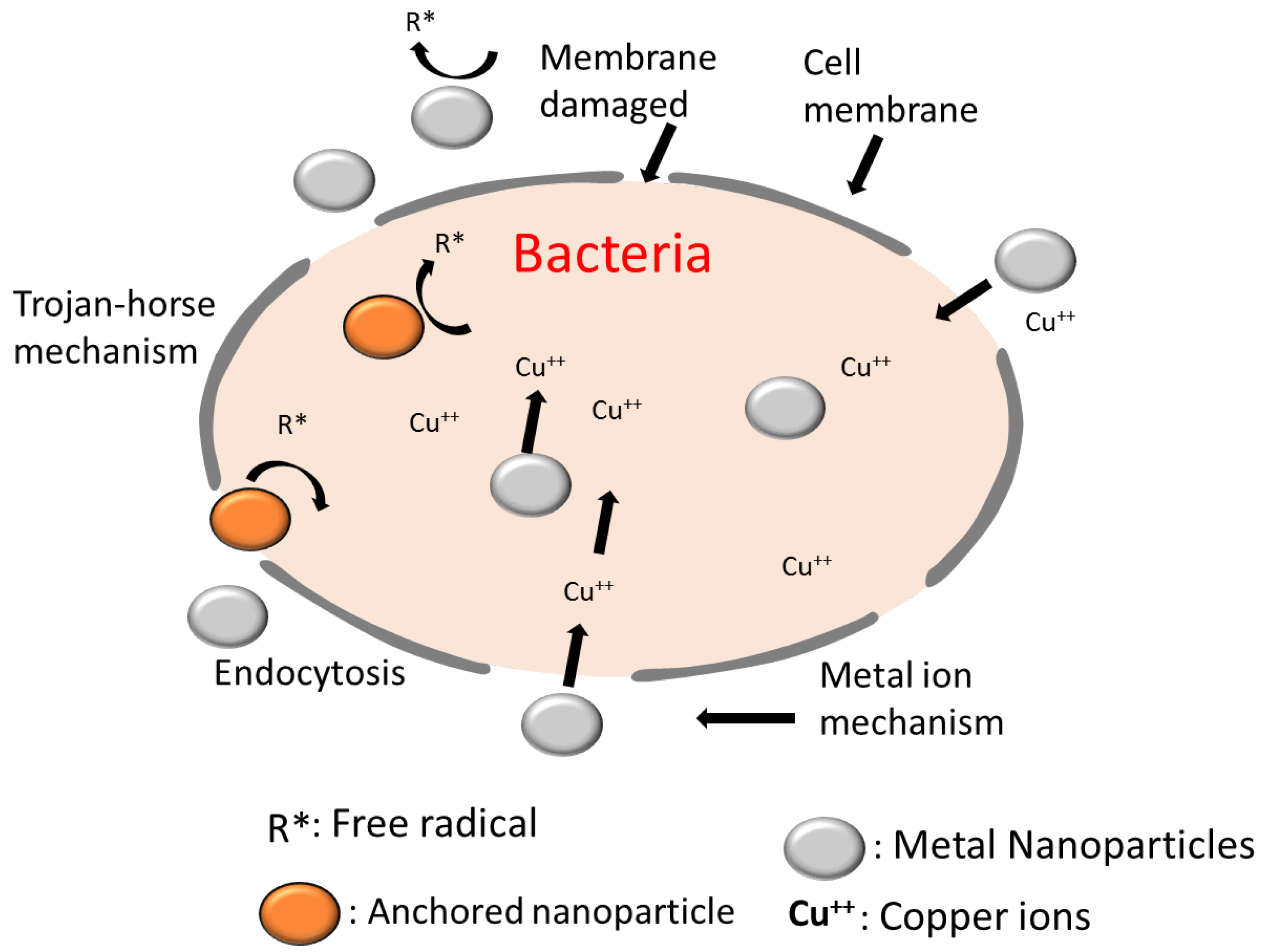 Coatings 13 00133 g013
