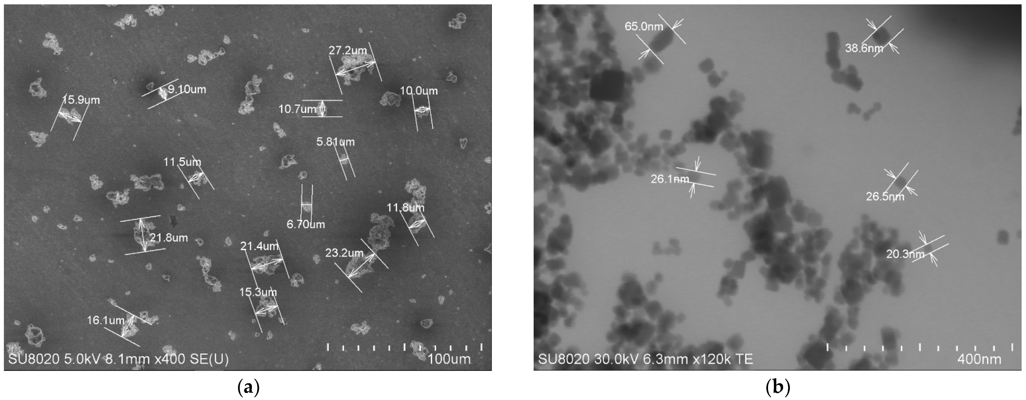 Coatings 13 00140 g001 Coatings 13 00140 g001