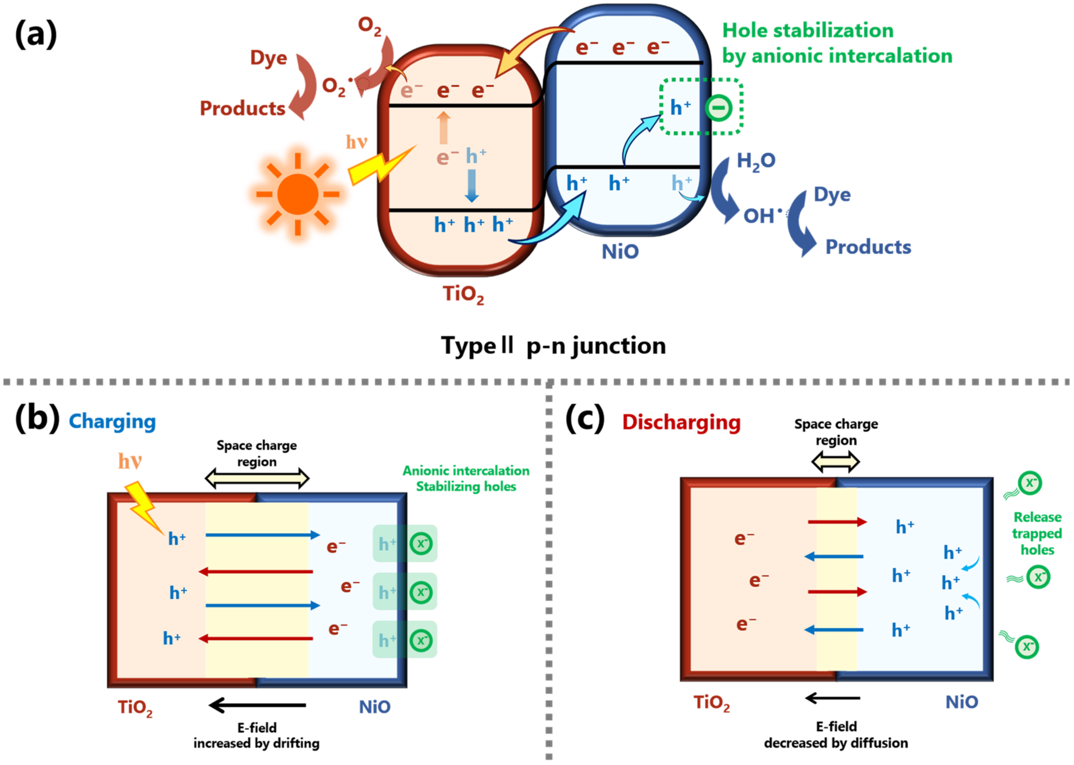 Coatings 13 00141 g009 Coatings 13 00141 g009