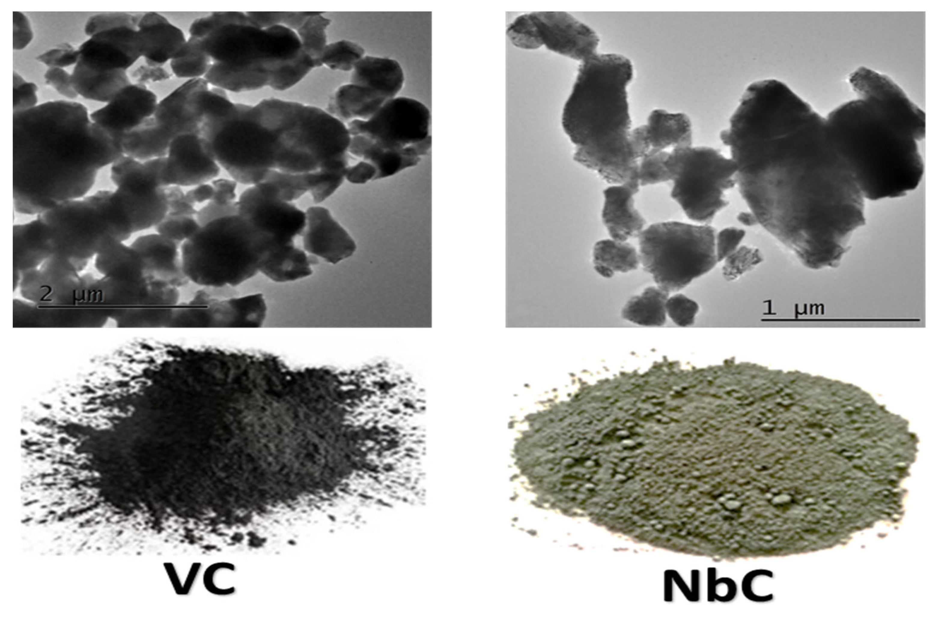 Coatings 13 00142 g001