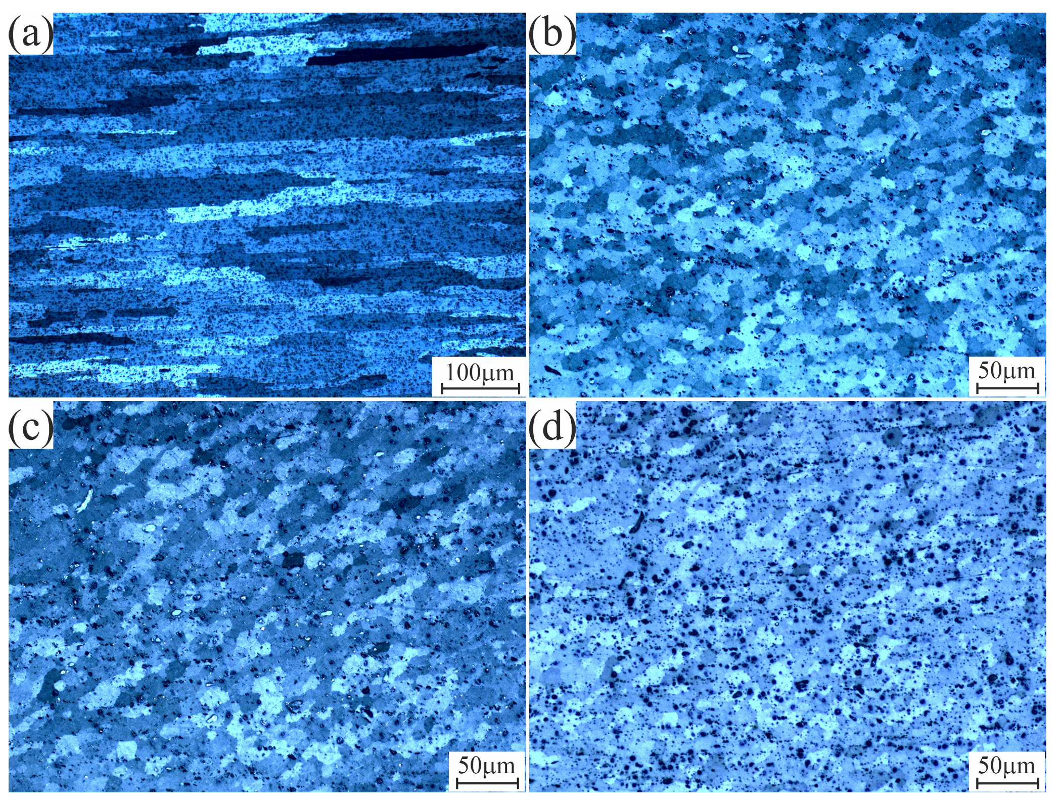 Coatings 13 00142 g003
