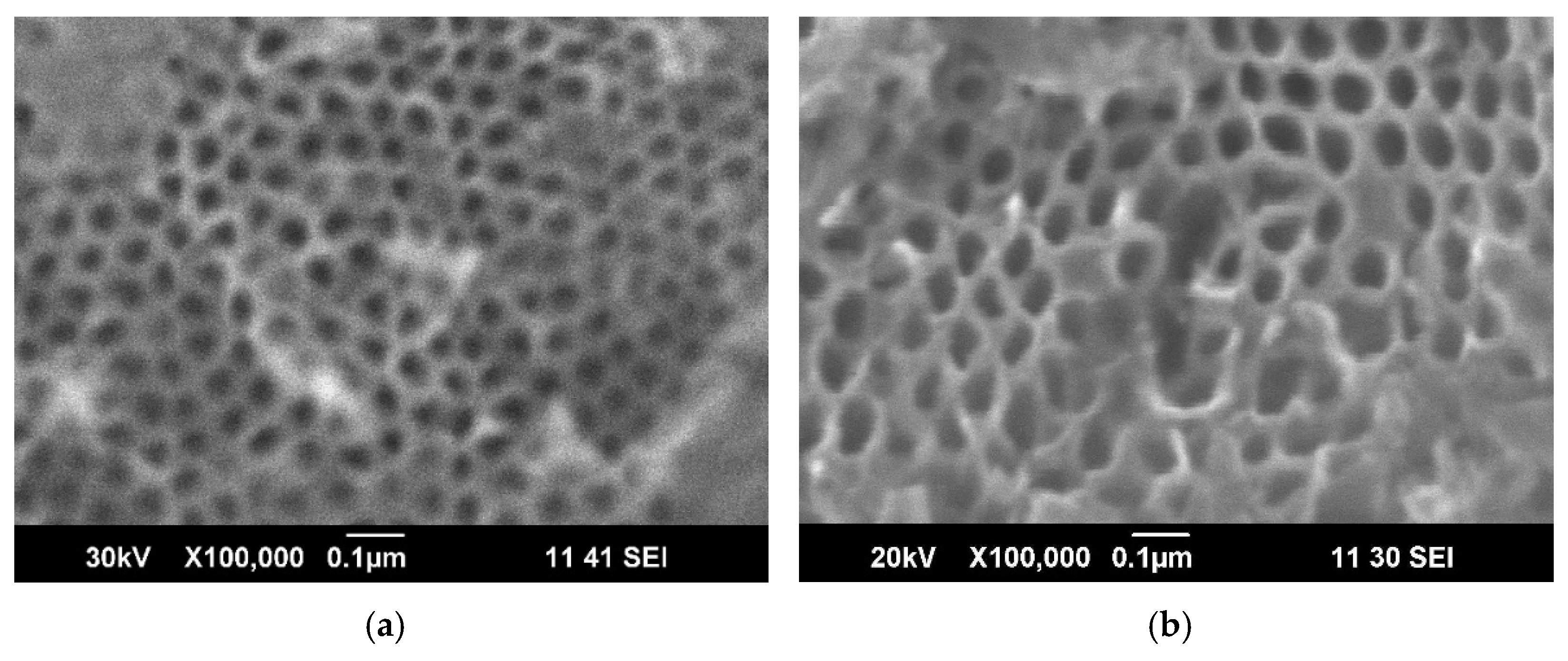 Coatings 13 00144 g001