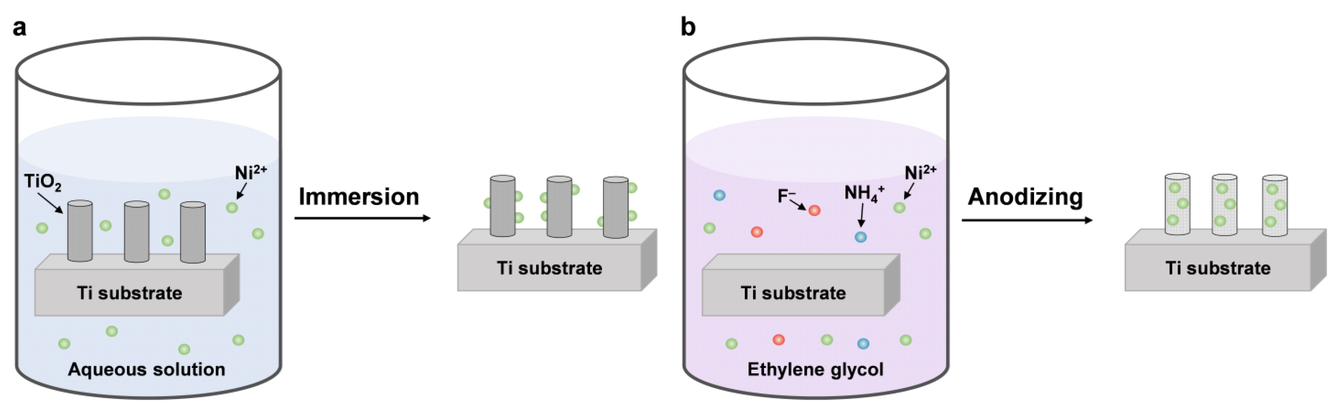 Coatings 13 00144 g003