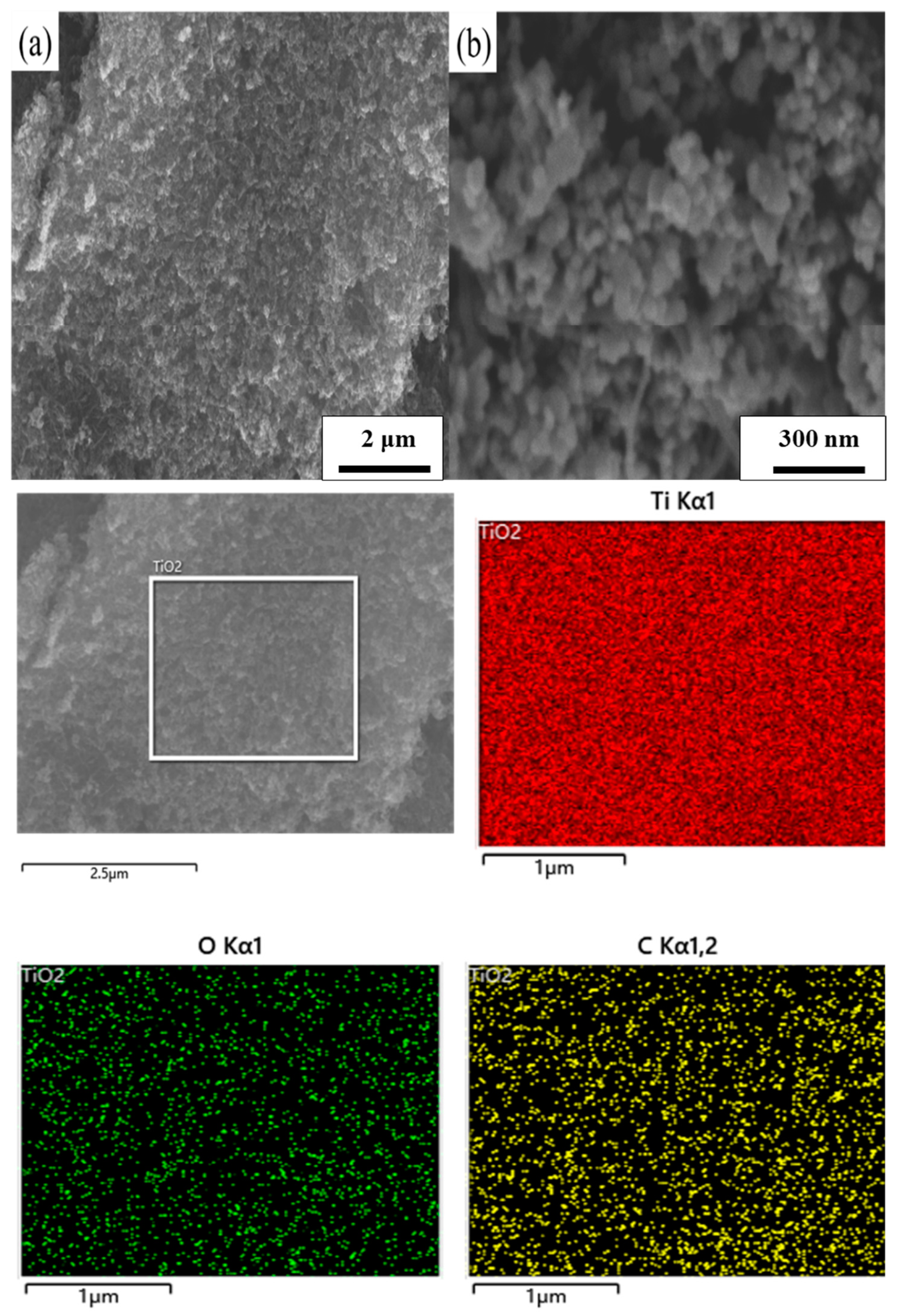 Coatings 13 00145 g002