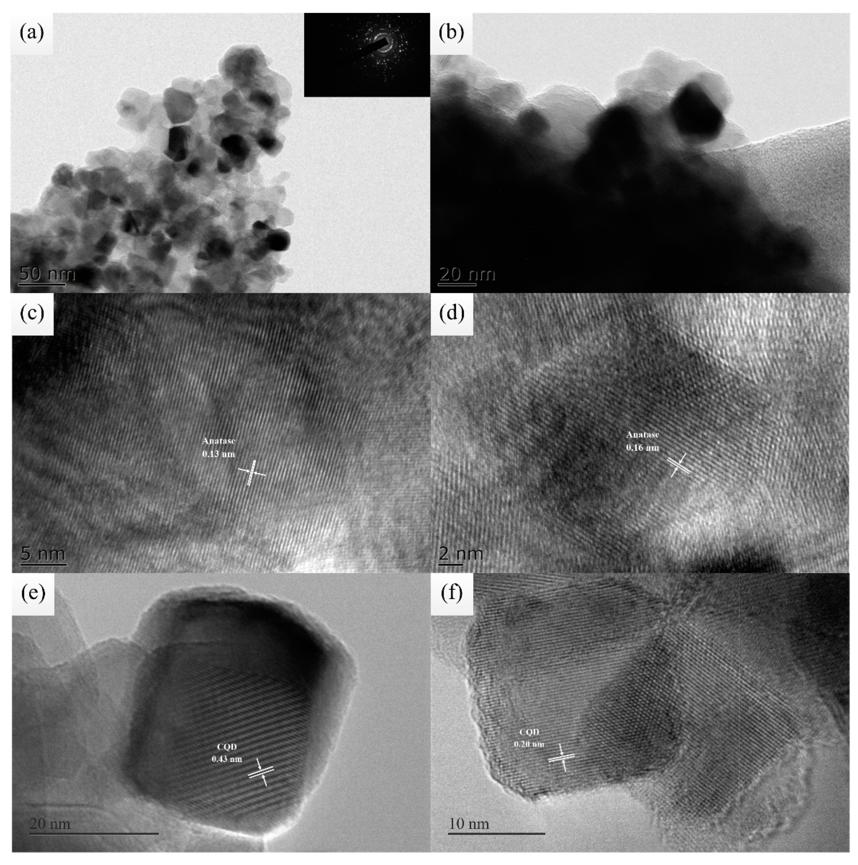 Coatings 13 00145 g003