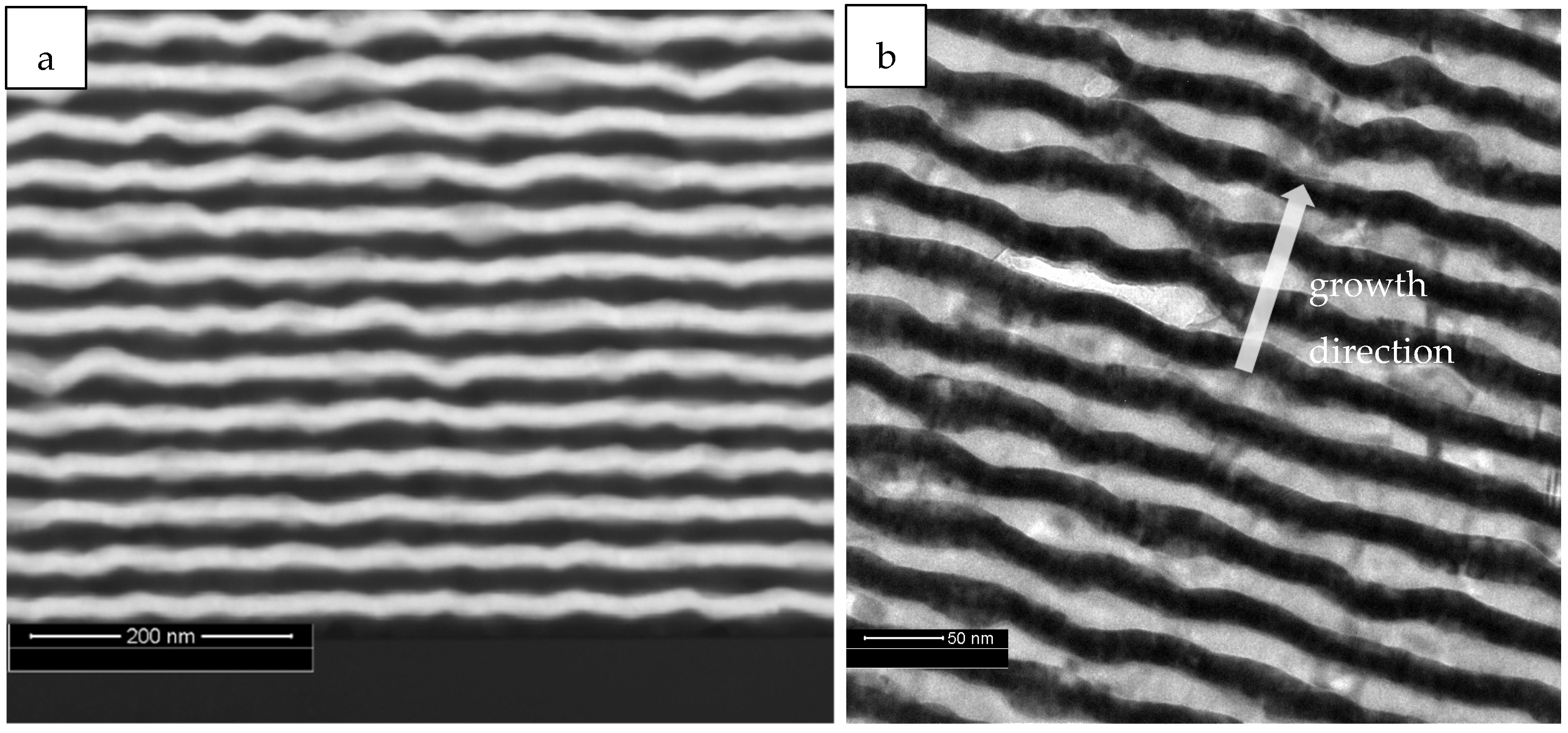 Coatings 13 00149 g003a