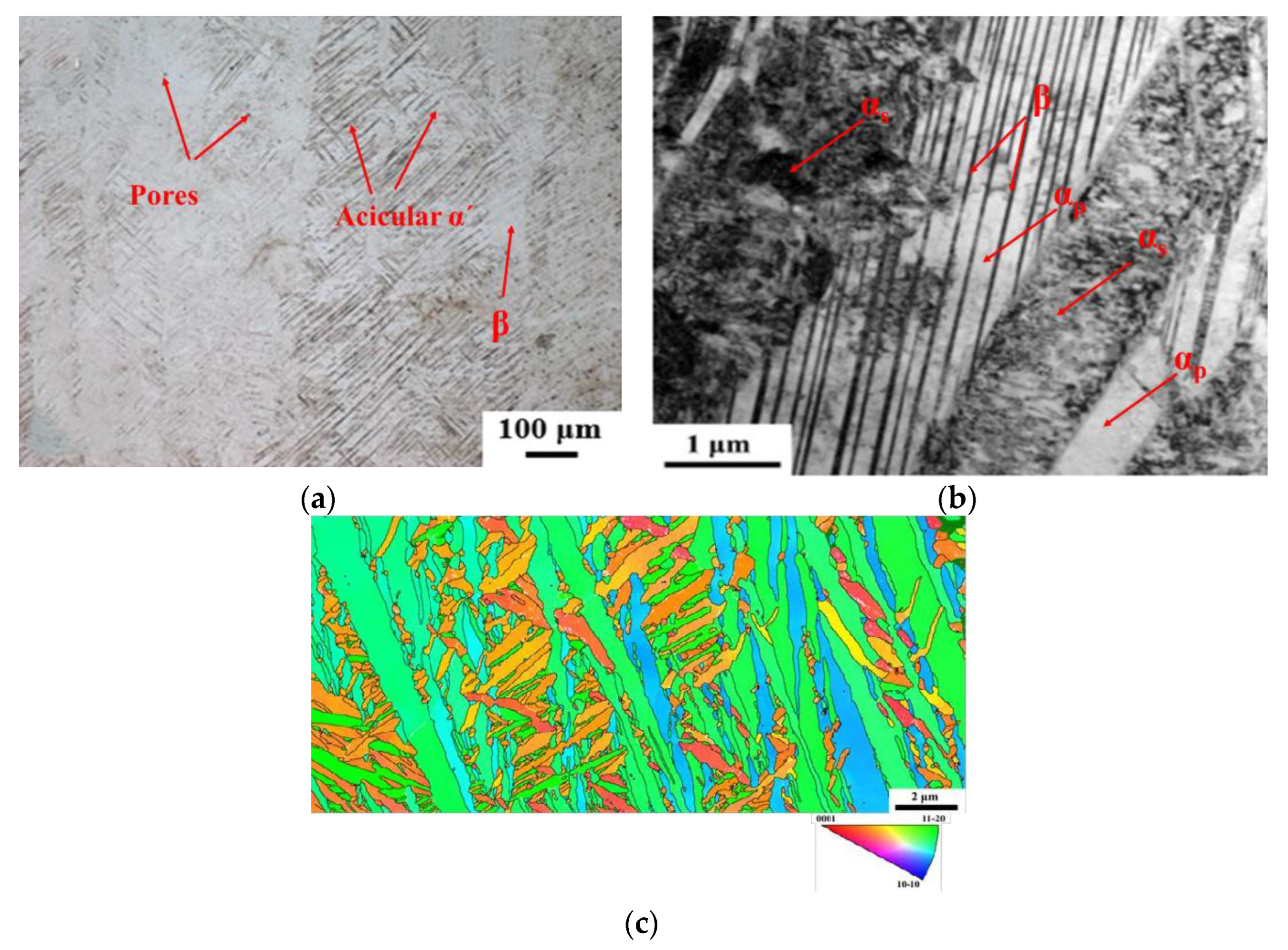 Coatings 13 00150 g004 Coatings 13 00150 g004